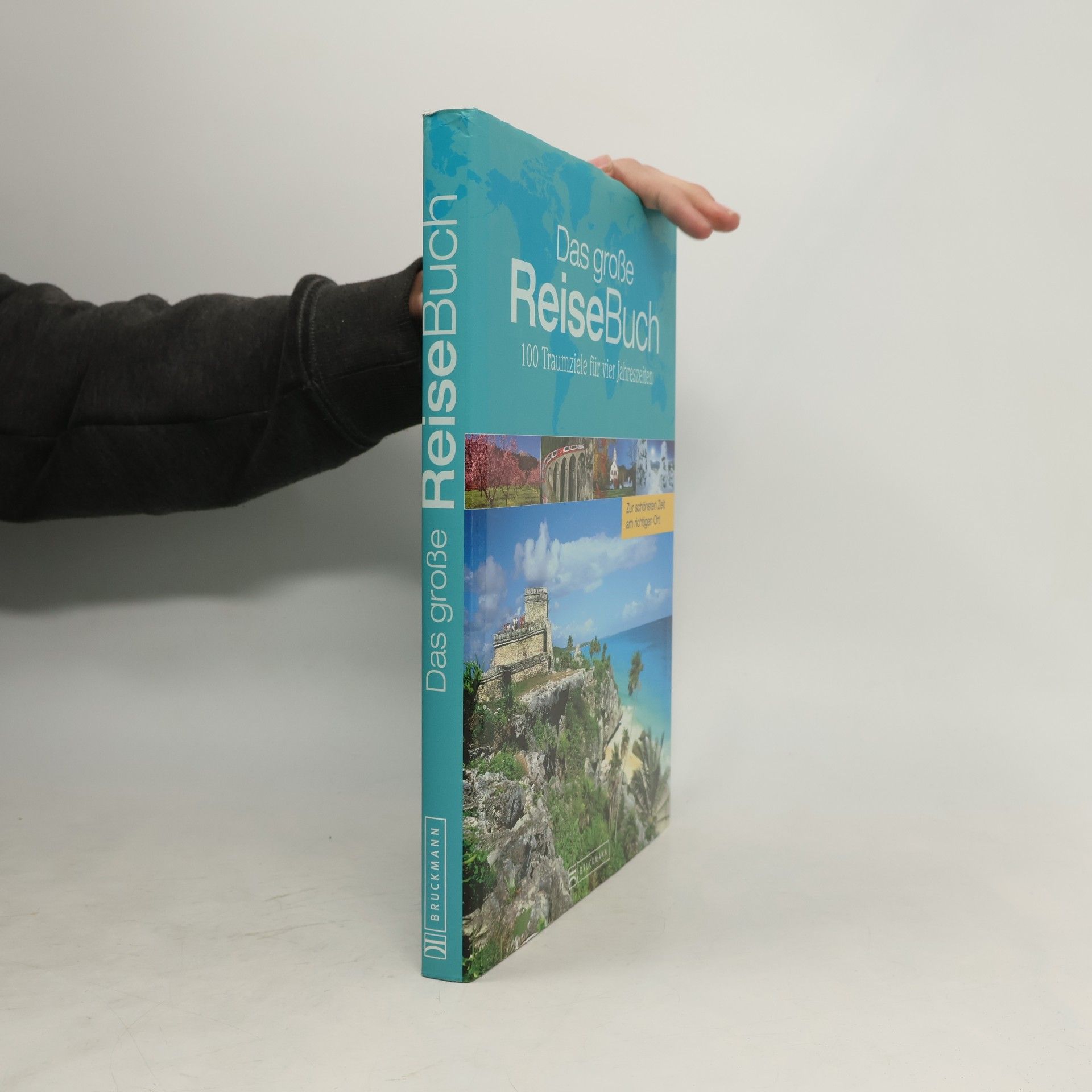 Das große ReiseBuch