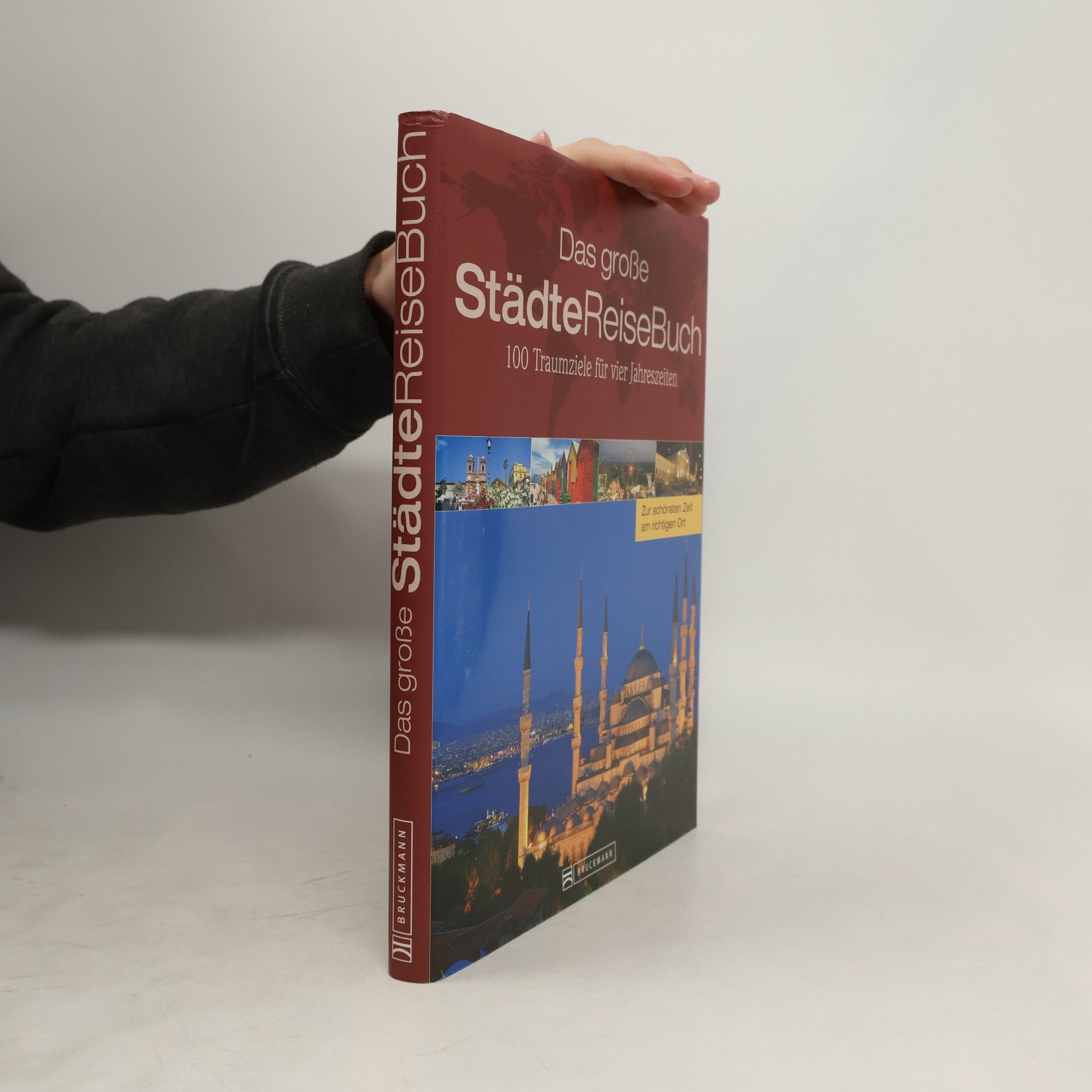 Das große StädteReiseBuch