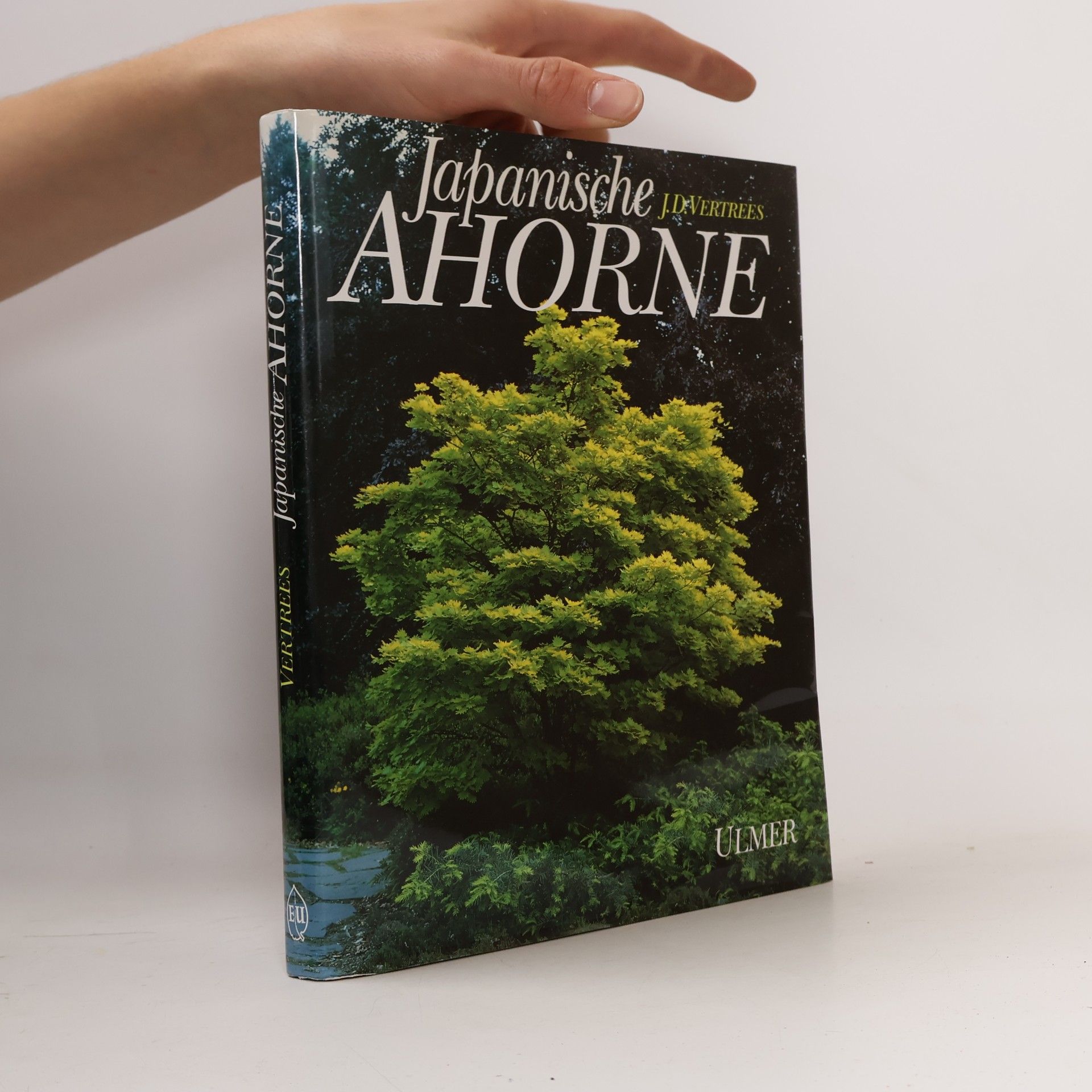 Japanische Ahorne