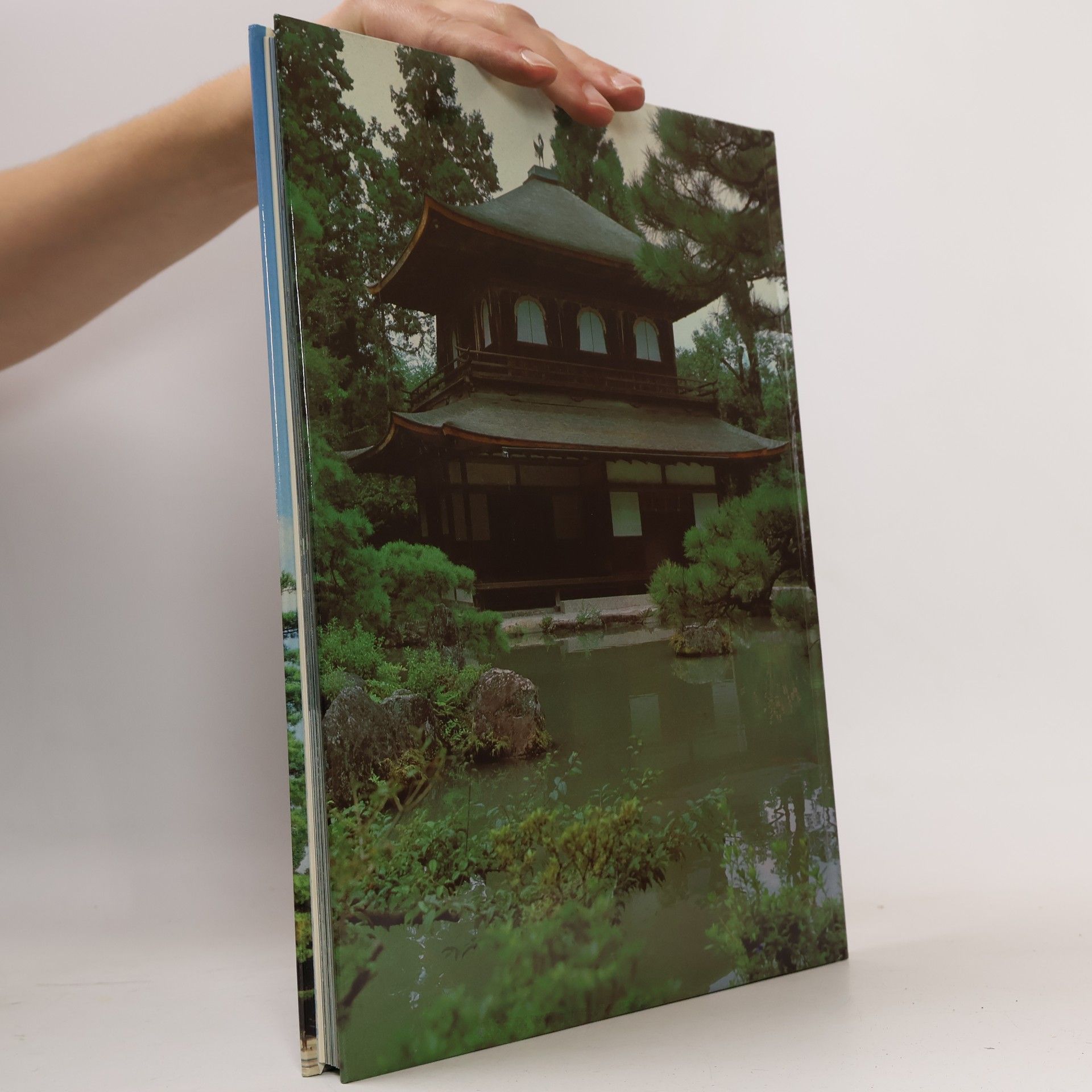 Collectif d'auteurs Mein Traumland Japan