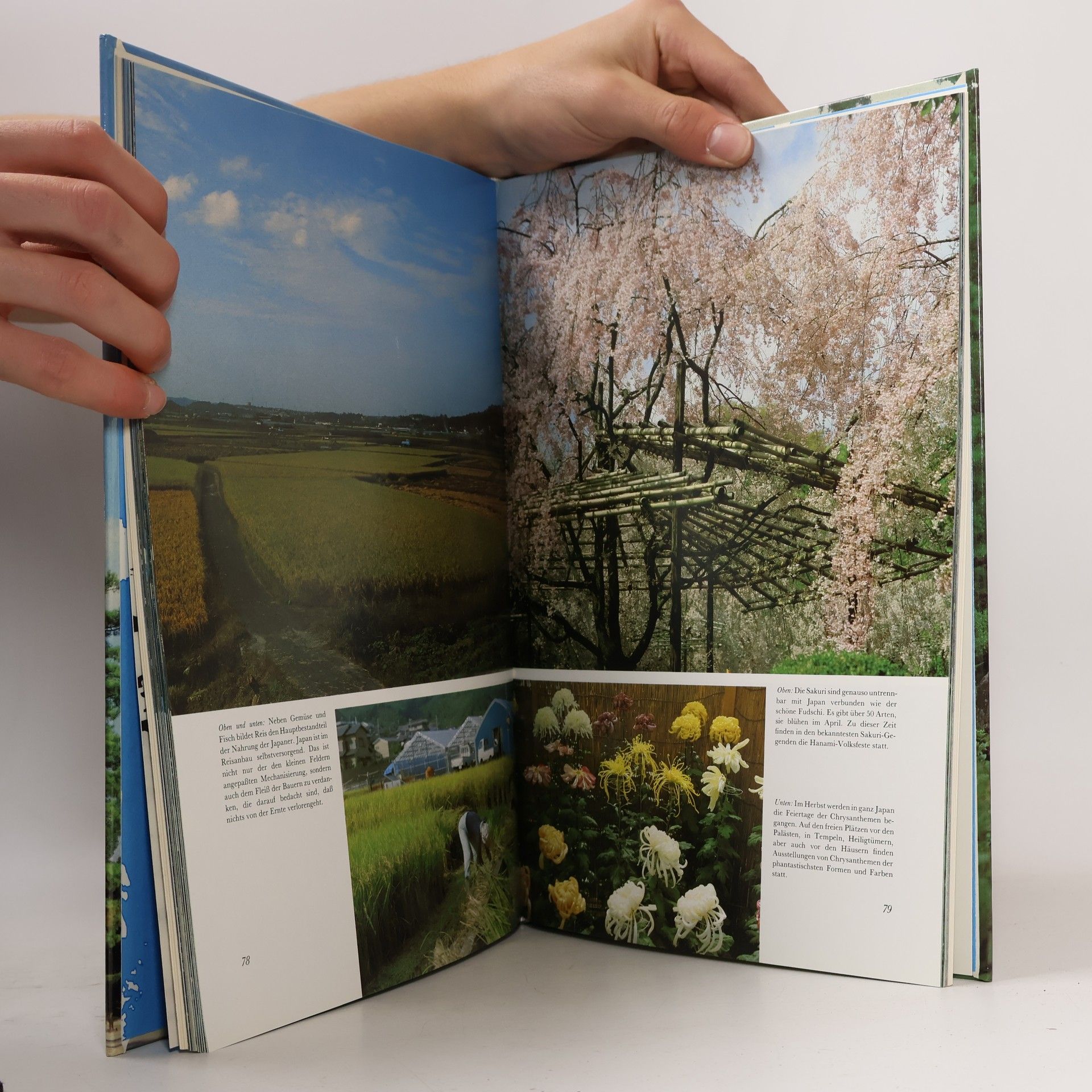 Collectif d'auteurs Mein Traumland Japan