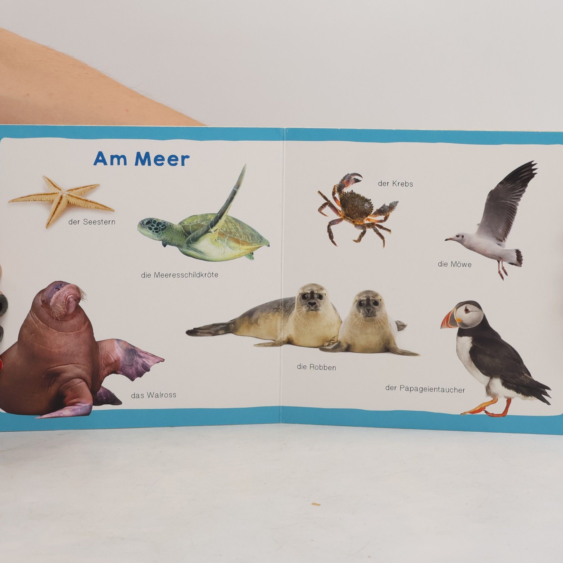 Meine ersten 100 Tiere