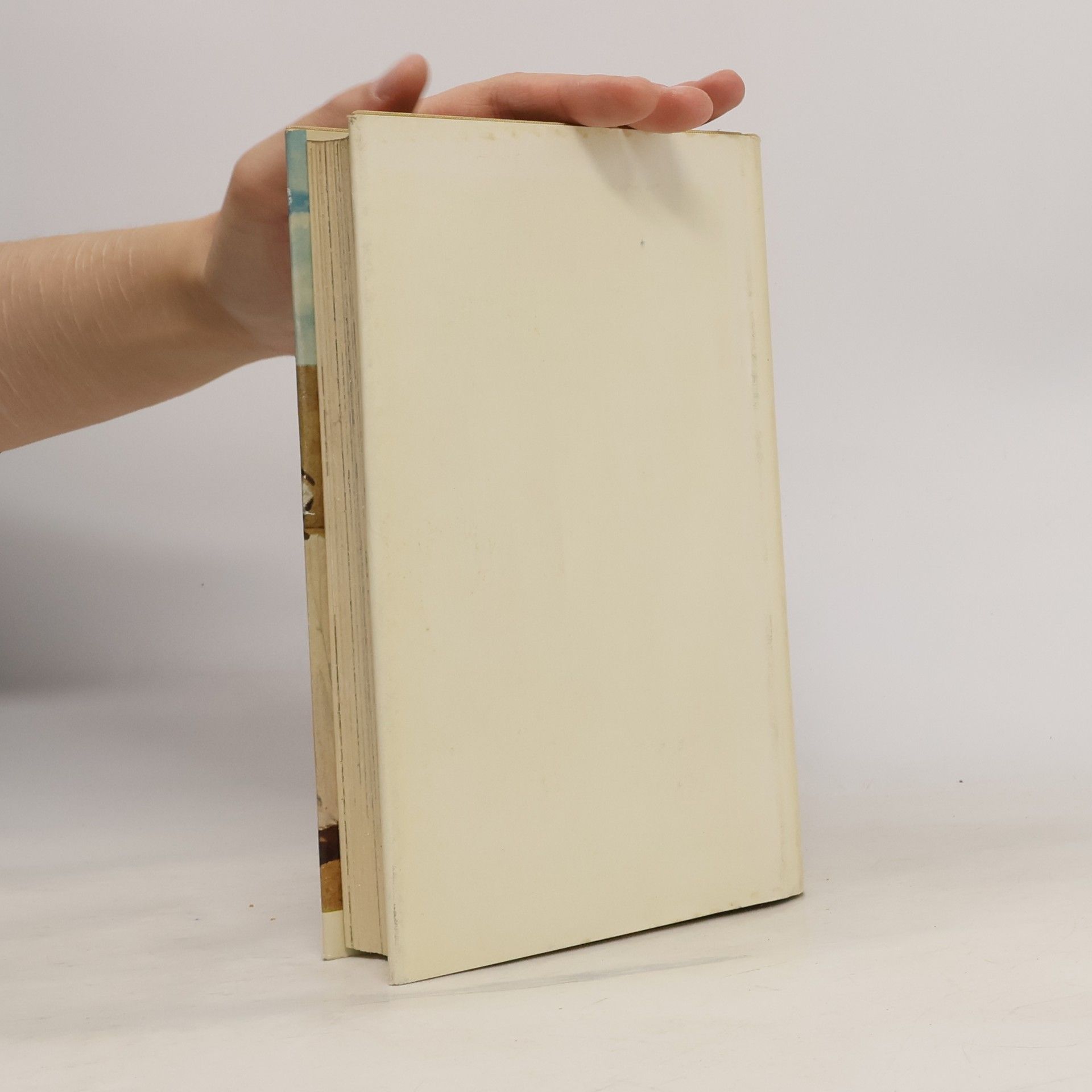 Ernst Zwilling Rei Buba schrieb das Drehbuch