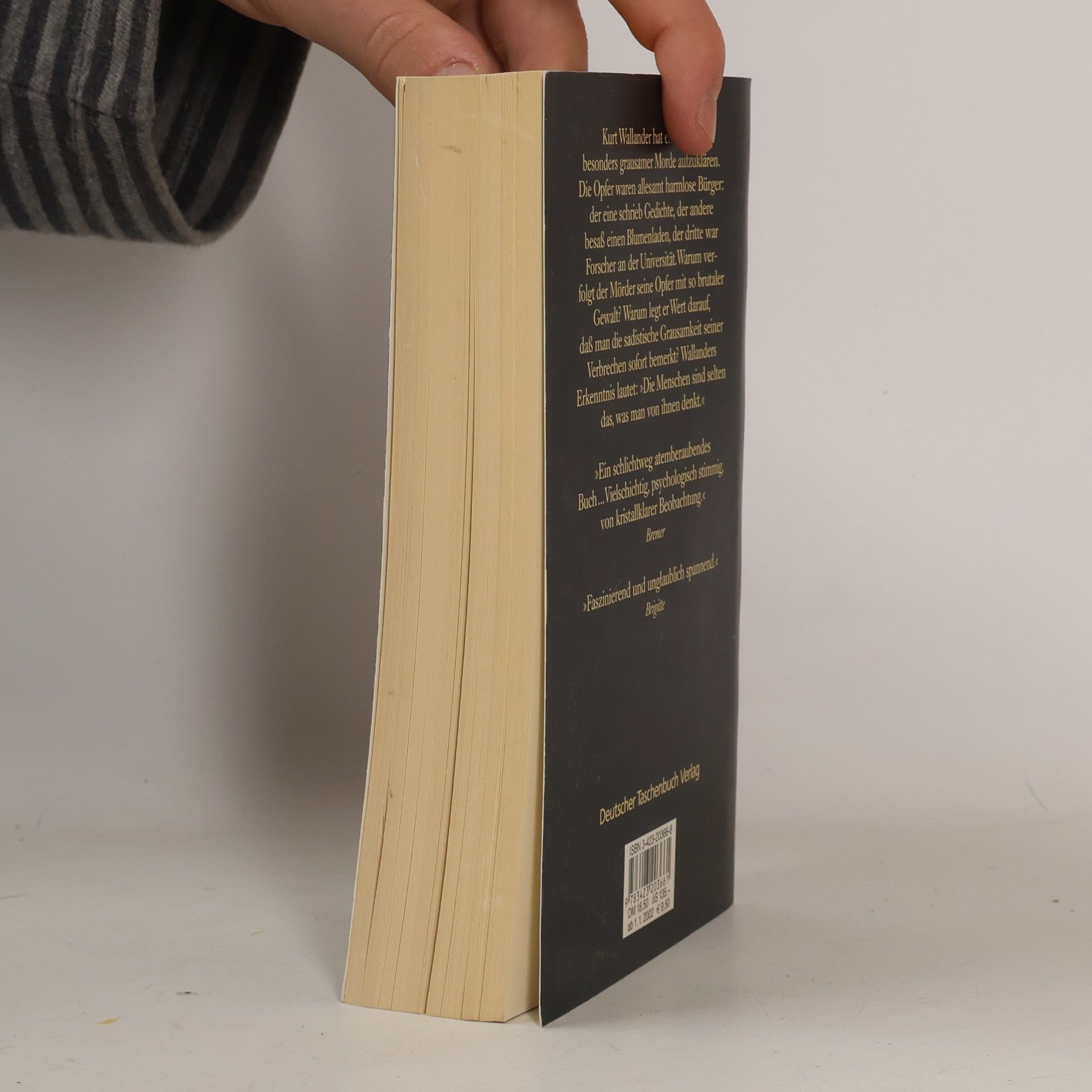 Henning Mankell Die fünfte Frau