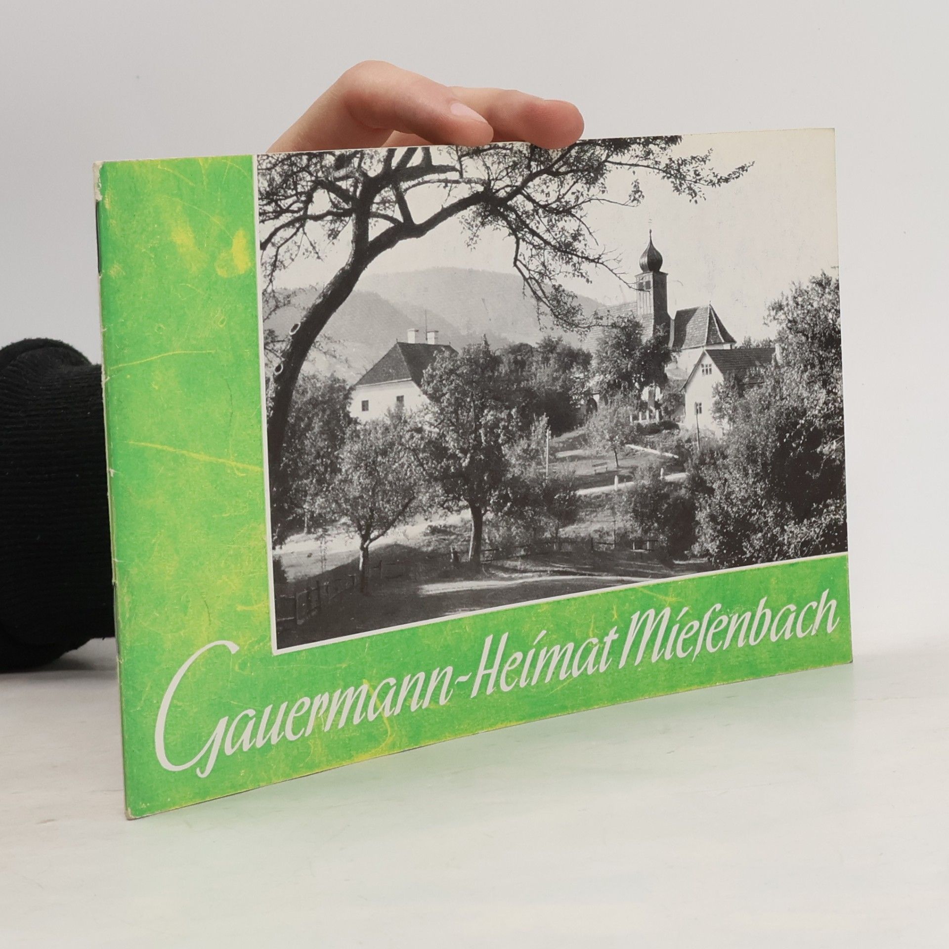 Gauermann-Heimat Miesenbach
