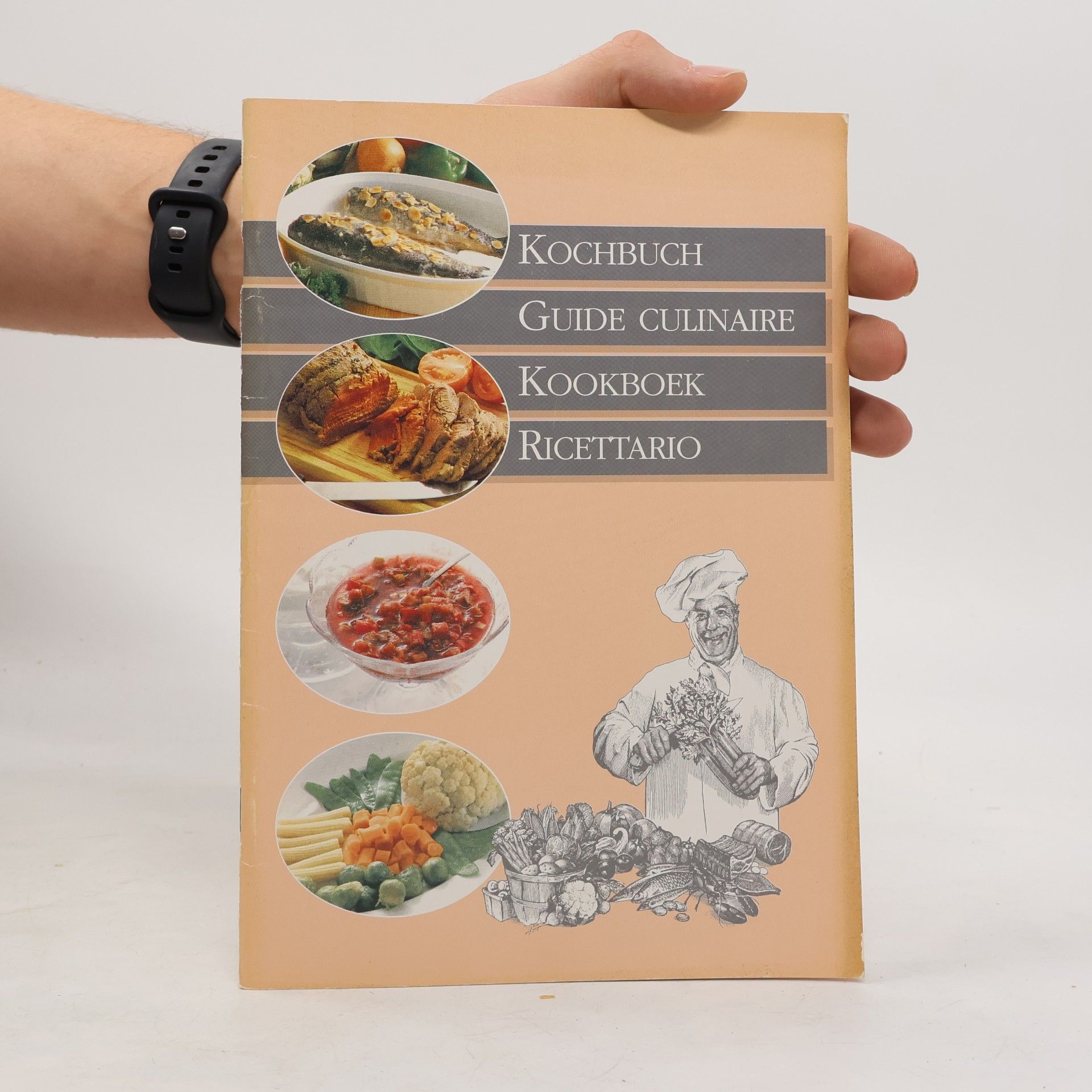 Collectif d'auteurs Kochbuch. Guide culinaire. Kookboek. Ricettario