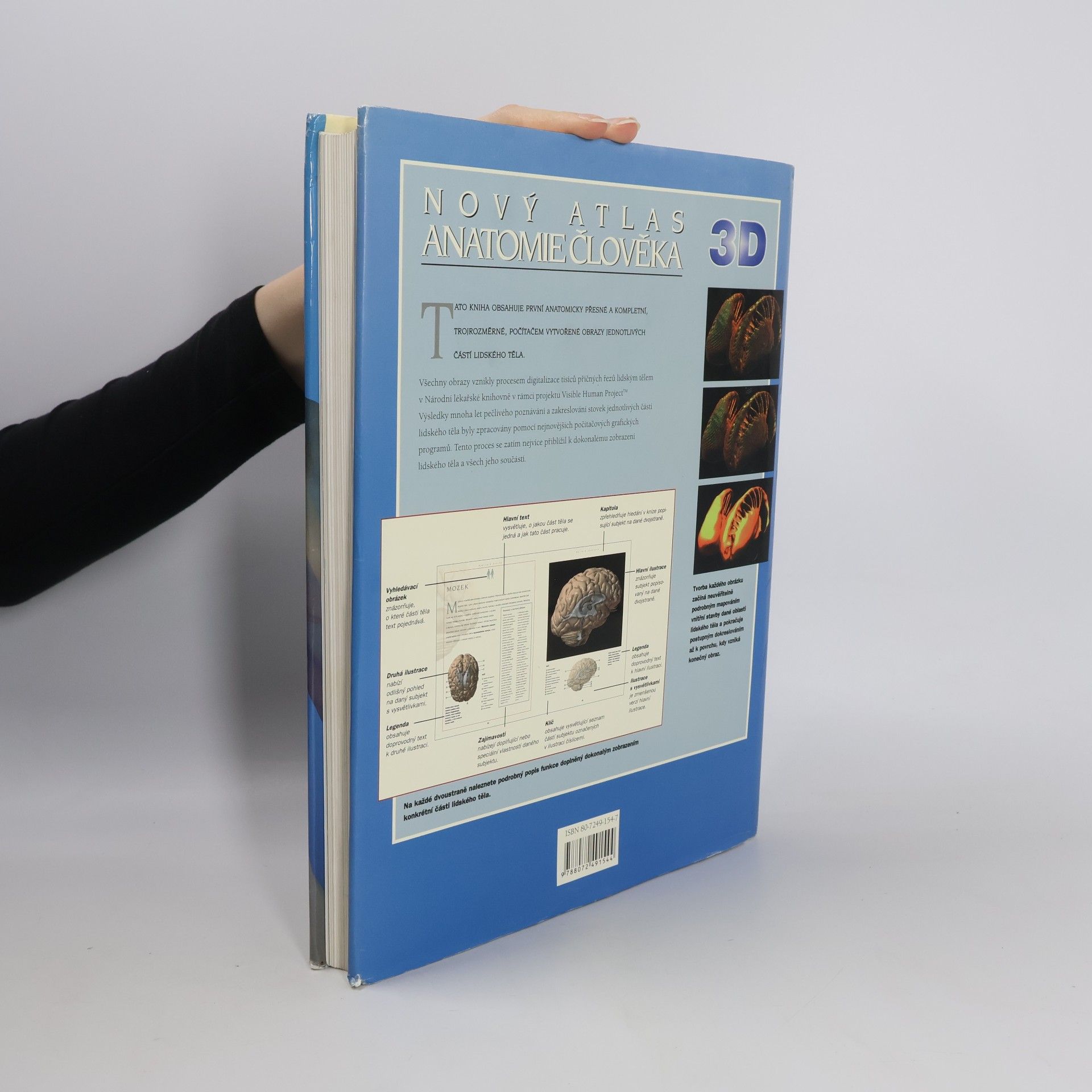 Autorenkollektiv Nový atlas anatomie člověka