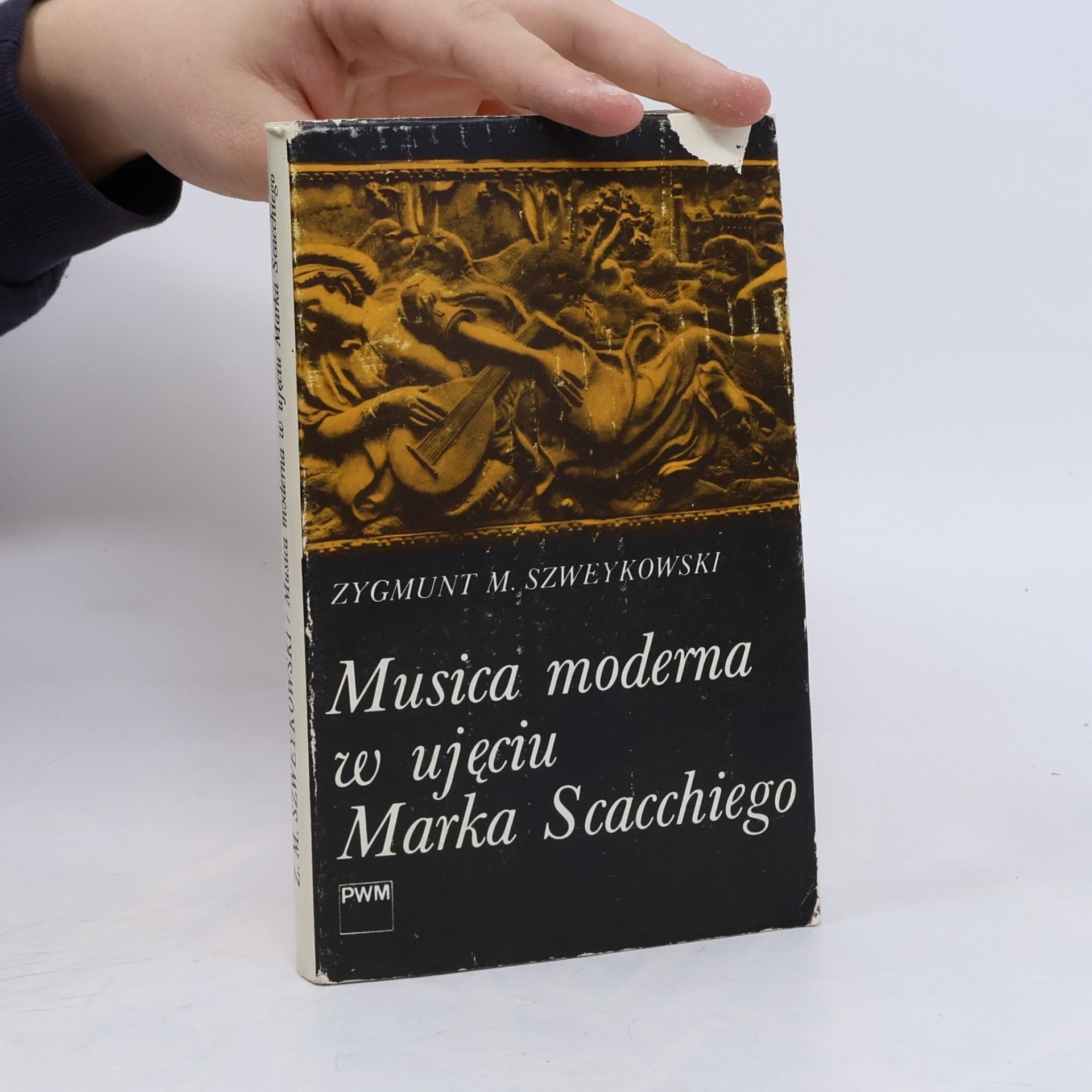 Musica moderna w ujęciu Marka Scacchiego