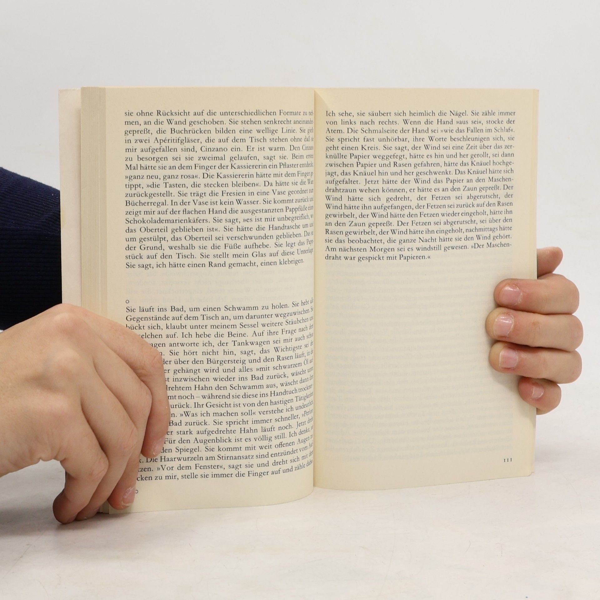 Peter Handke Der gewöhnliche Schrecken