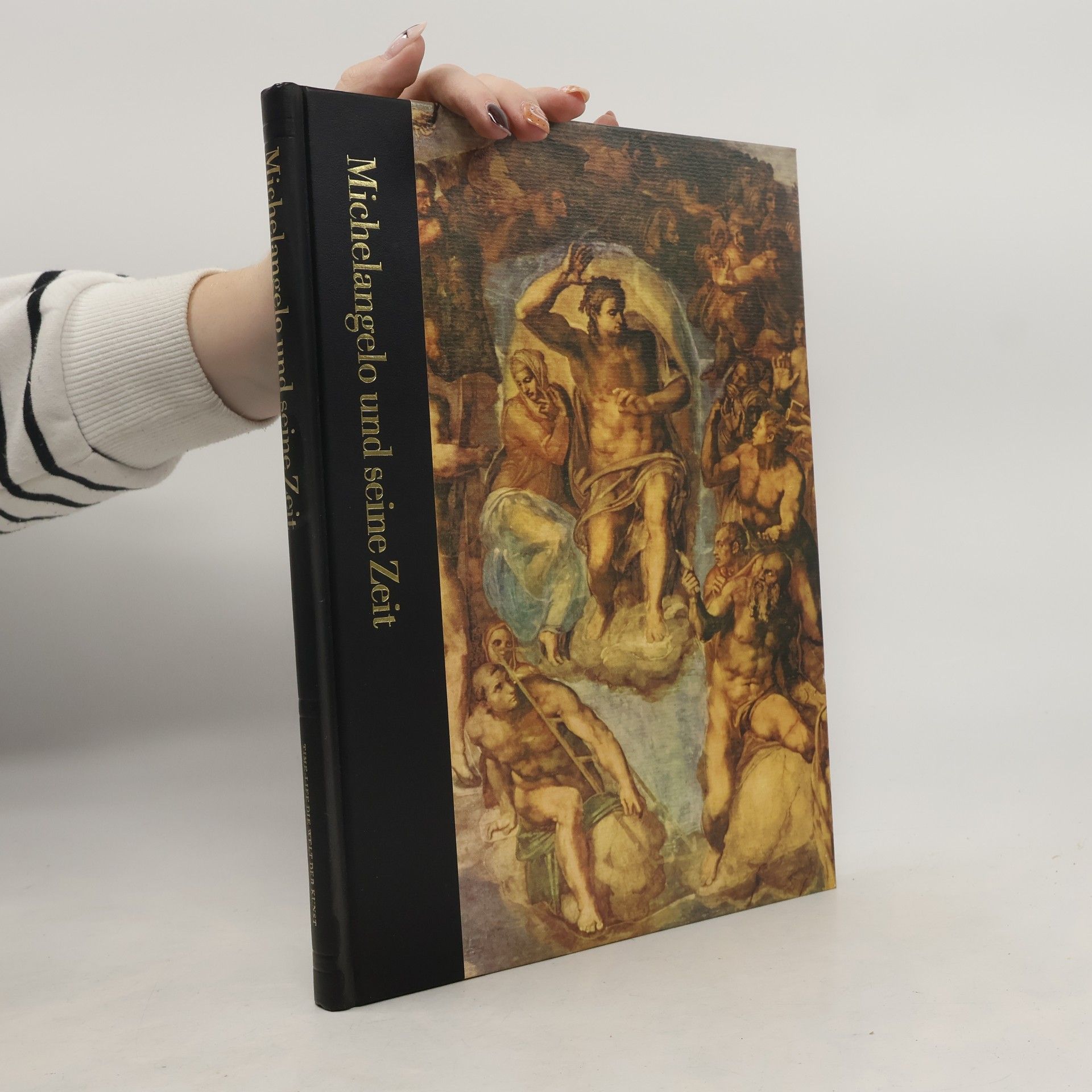 Autorenkollektiv Michelangelo und seine Zeit