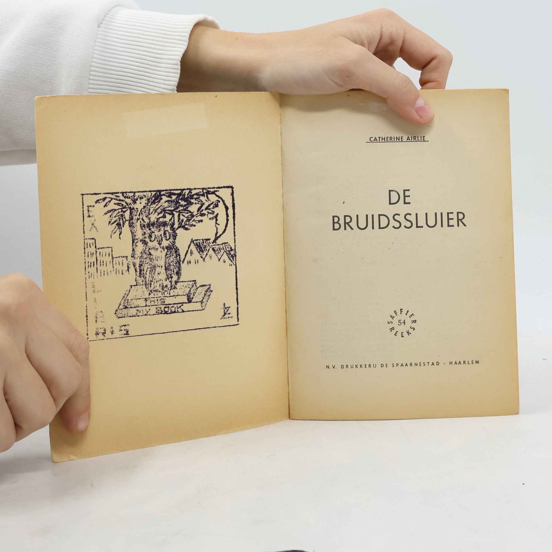 Catherine Airlie DE BRUIDSSLUIER