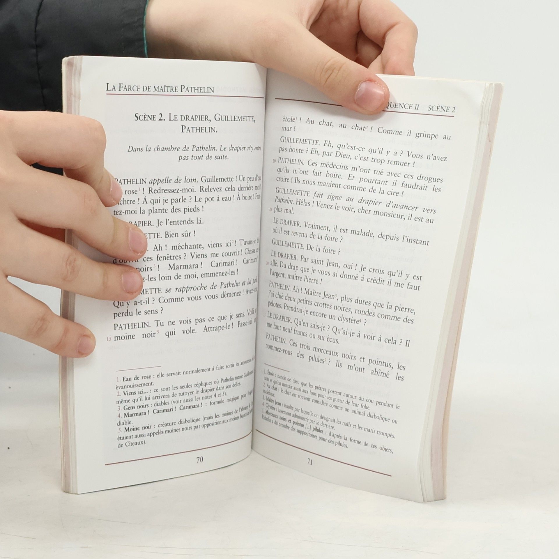 Autorenkollektiv La France de maître Pathelin