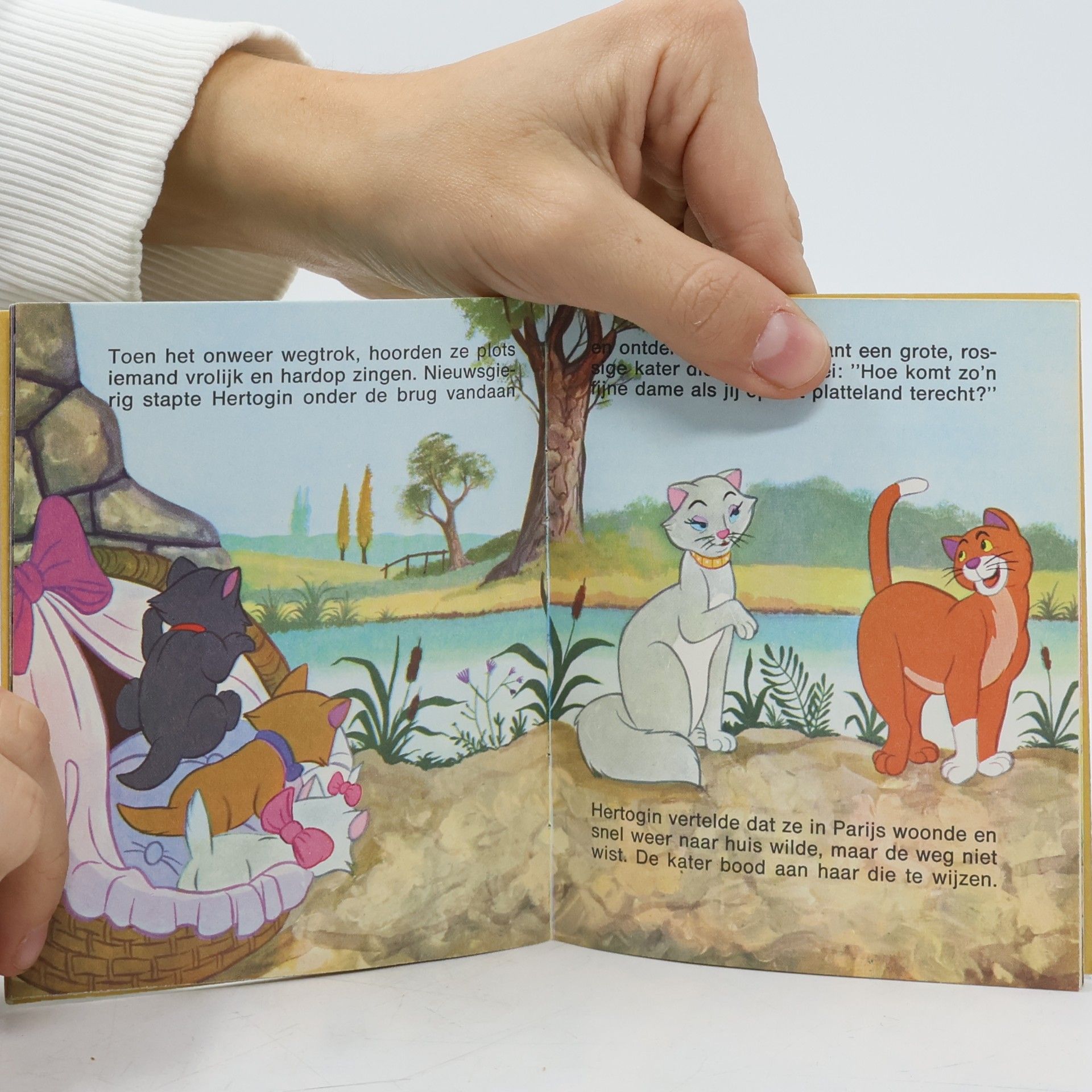 Various authors De Aristocats 2