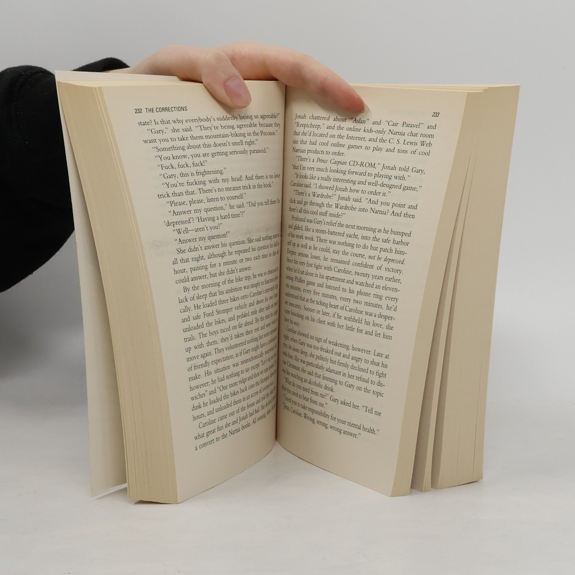 Jonathan Franzen The corrections