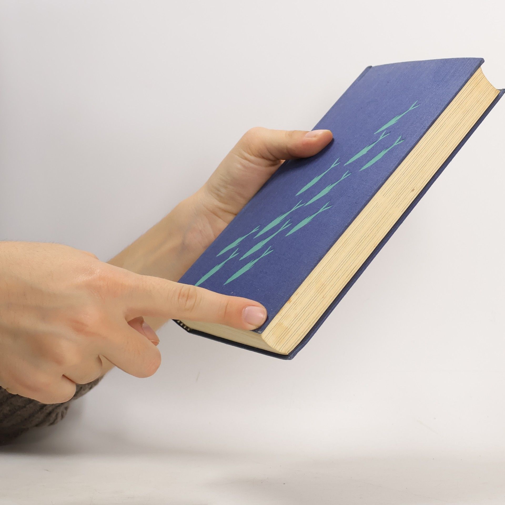 Hans Hass Jäger auf dem meeres-grund