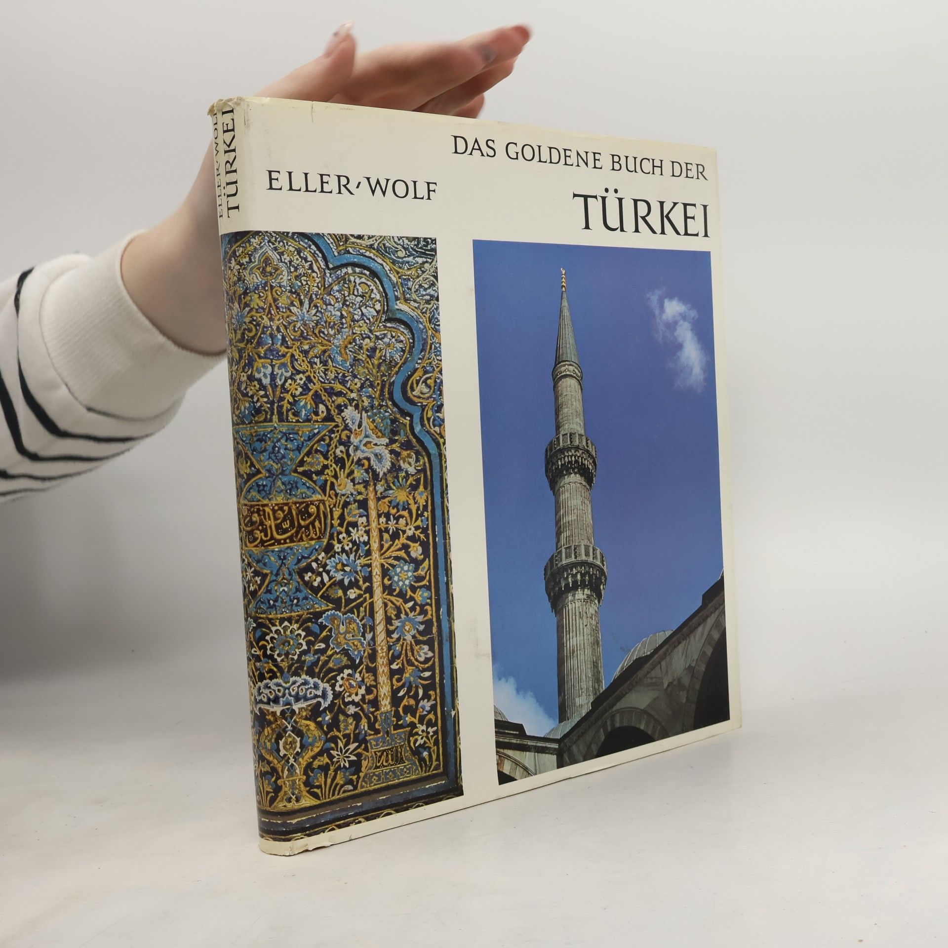 Autorenkollektiv Das goldene Buch der Türkei