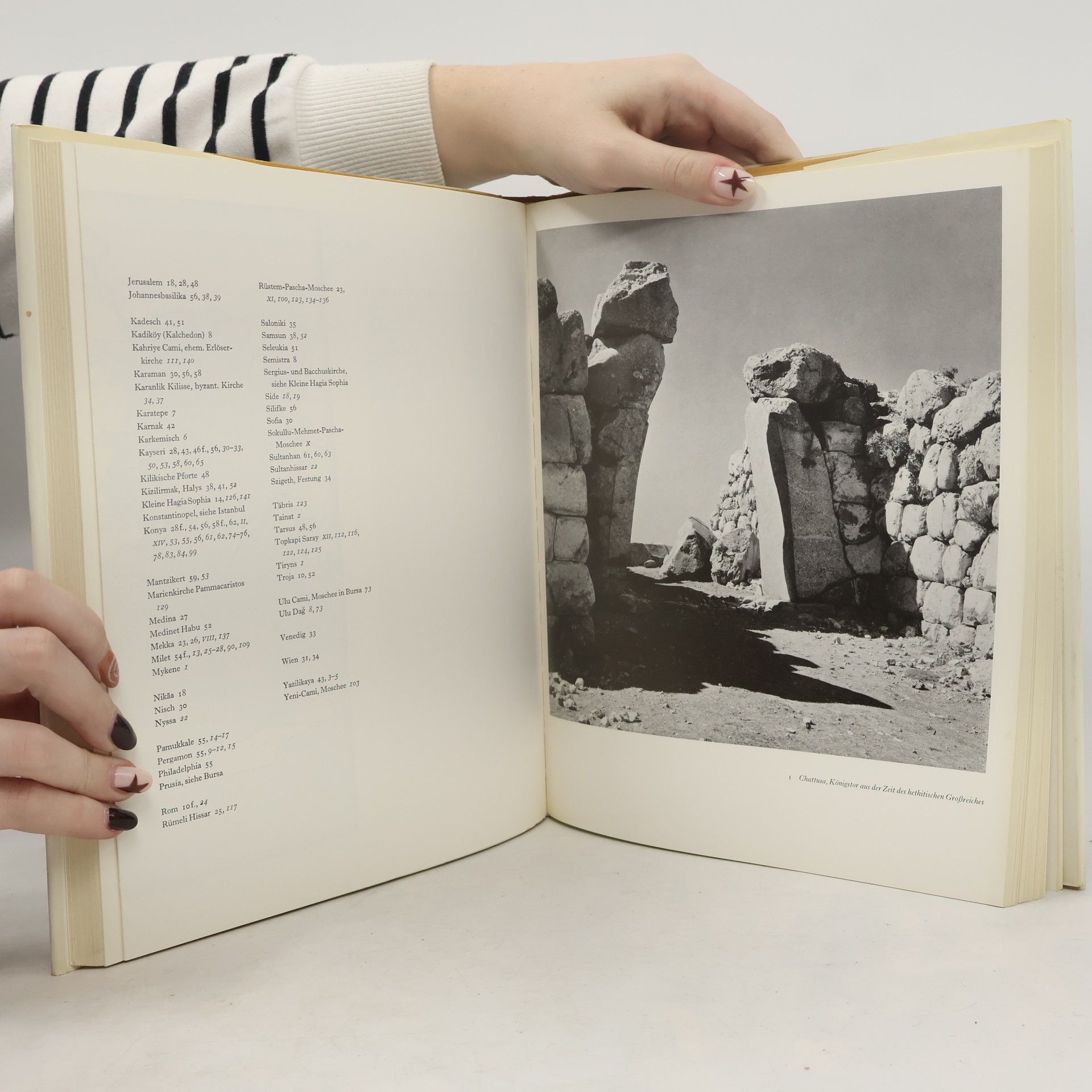 Autorenkollektiv Das goldene Buch der Türkei