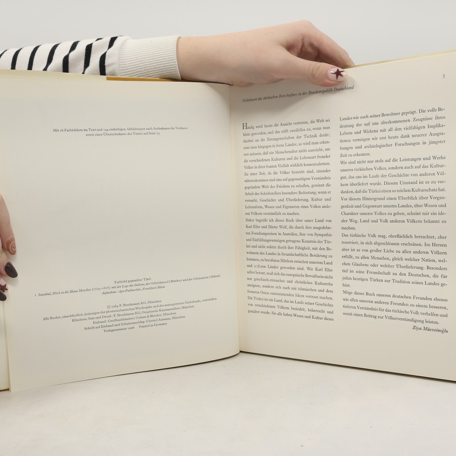 Autorenkollektiv Das goldene Buch der Türkei