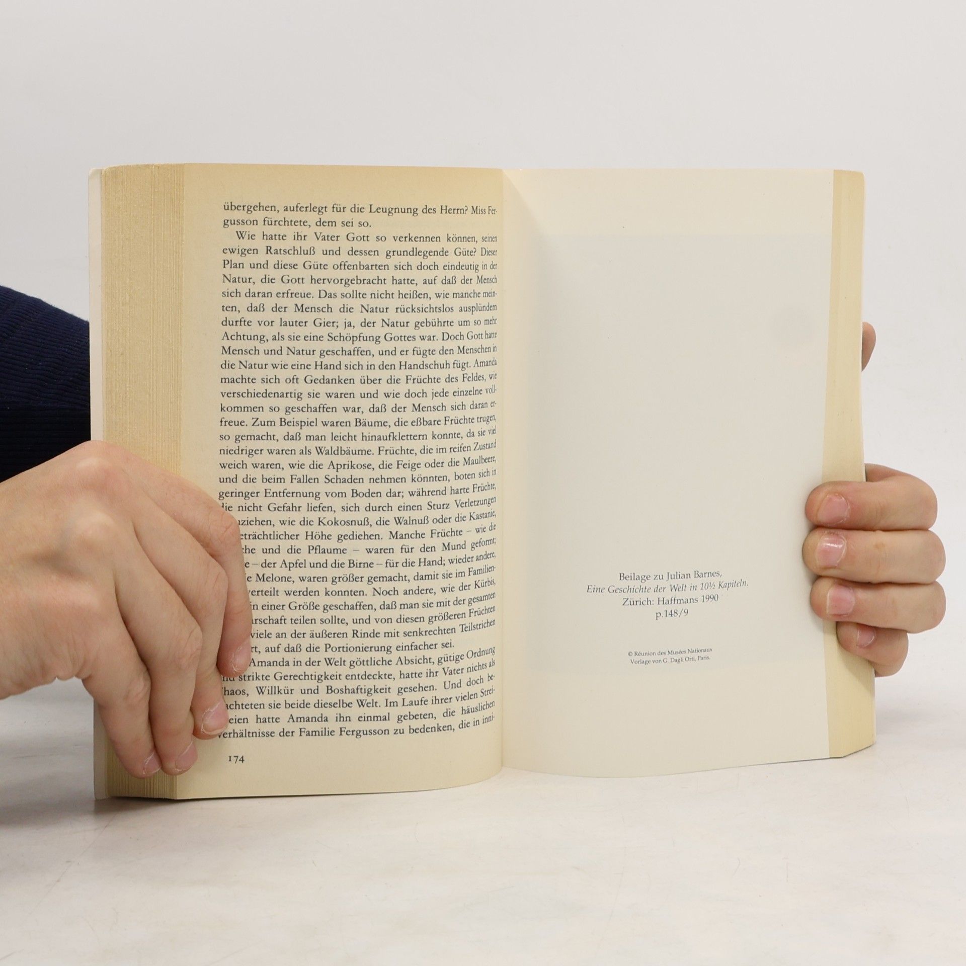 Julian Barnes Eine Geschichte der Welt in 10 1/2 Kapiteln