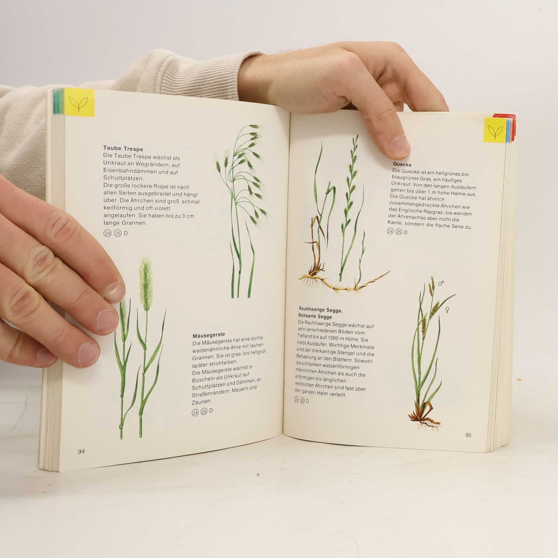 Gertrude Maurer Pflanzen und Tiere um uns 2
