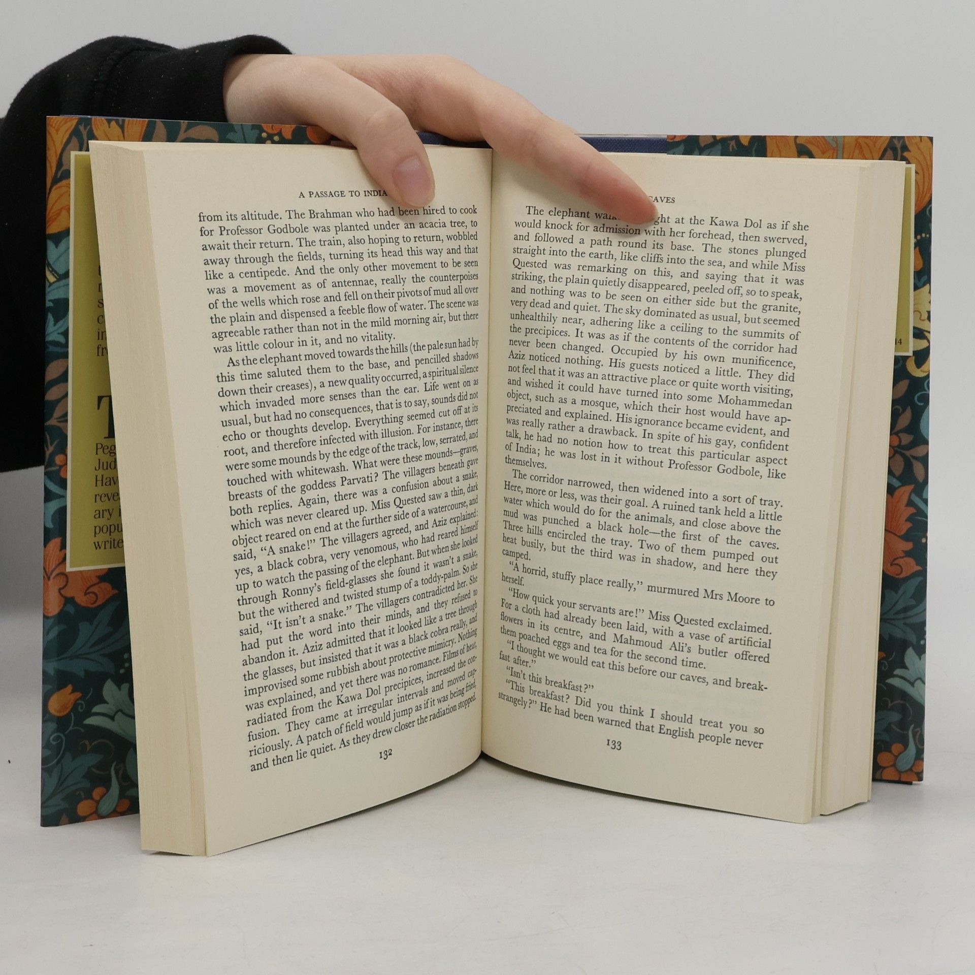 Edward M. Forster A Passage to India