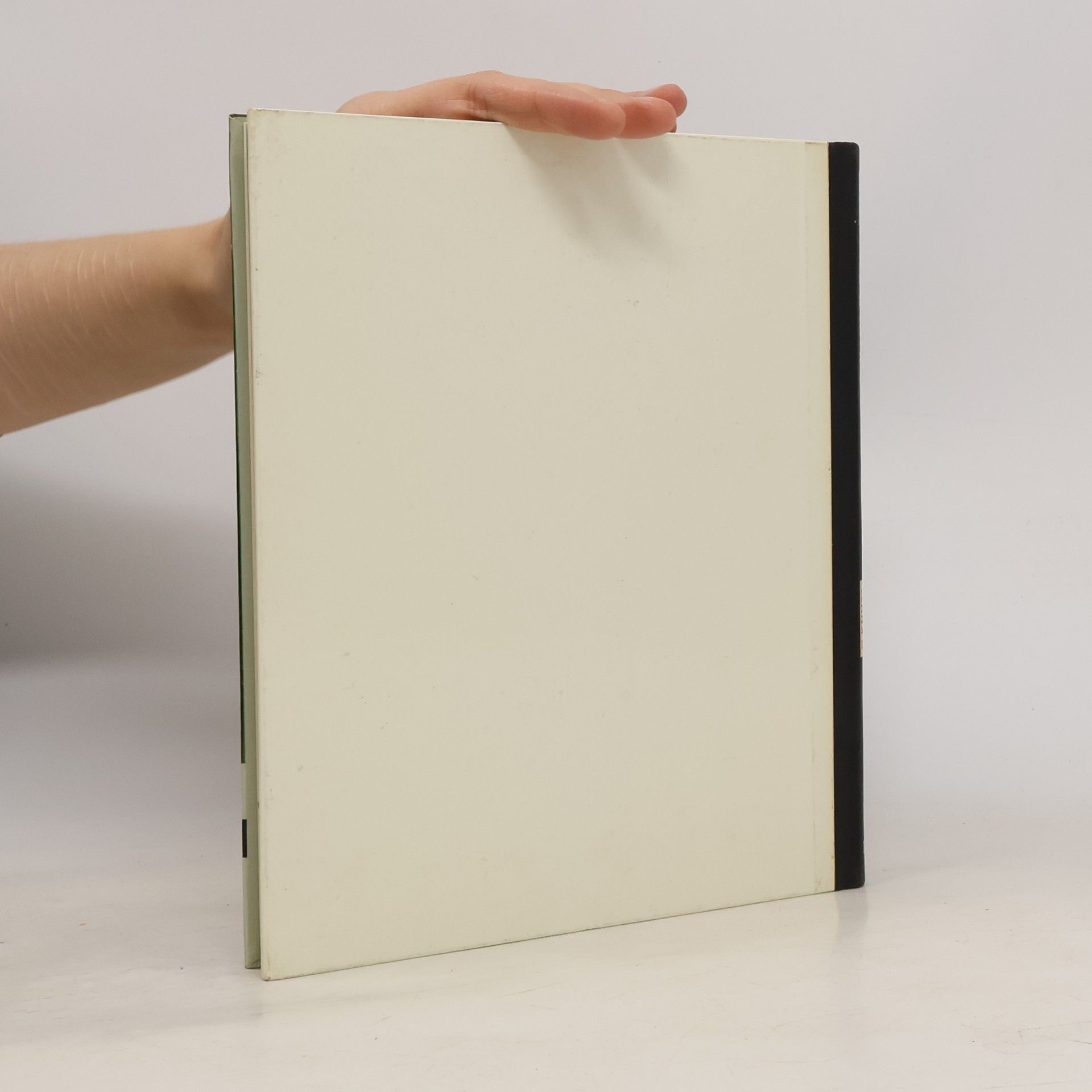 Hans Hofstatter Kunst im Bild der Jahrtausende