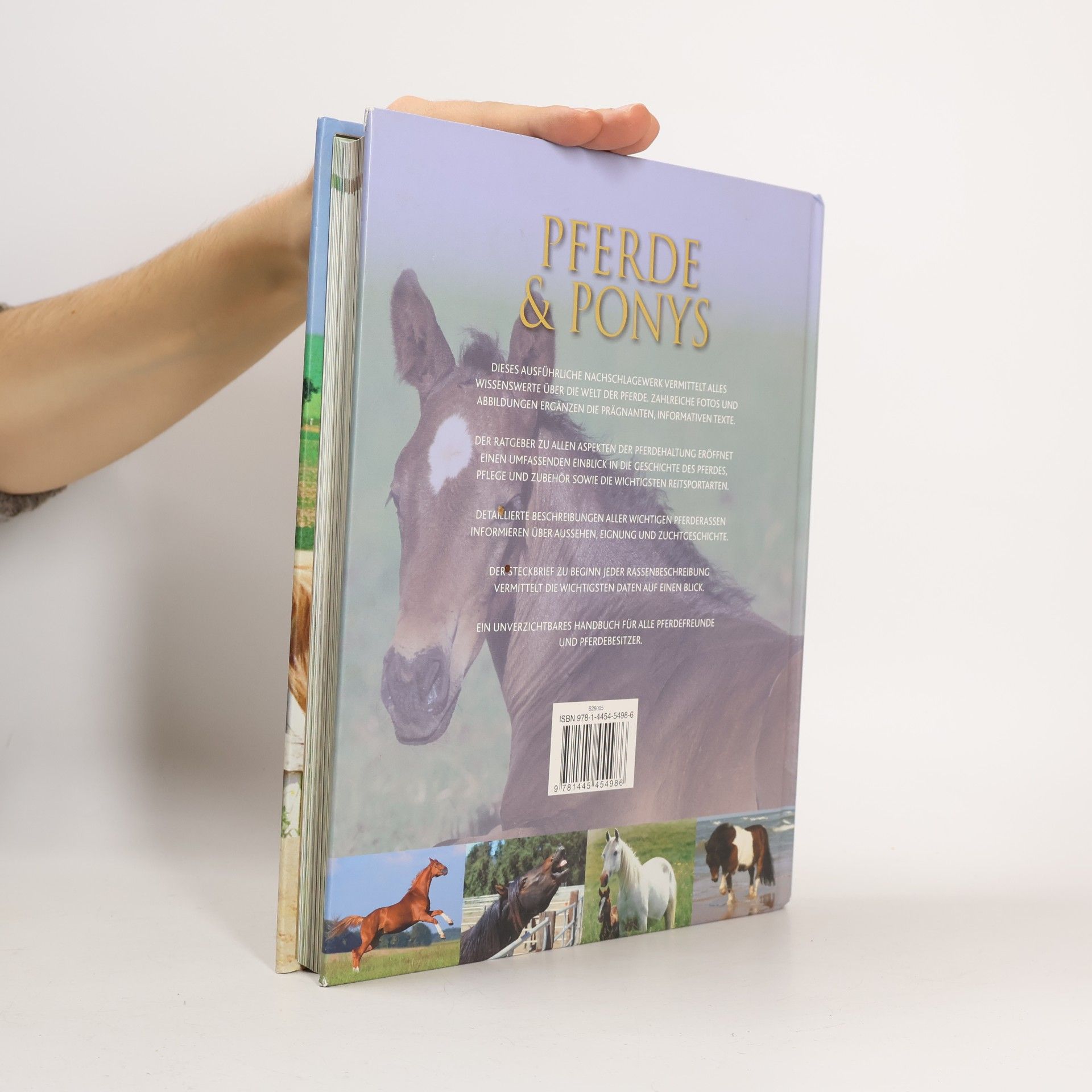 Debby Sly Pferde und Ponys. Alles über Pferdepflege, Reitsport und die Geschichte des Pferdes. Über 200 Rassen