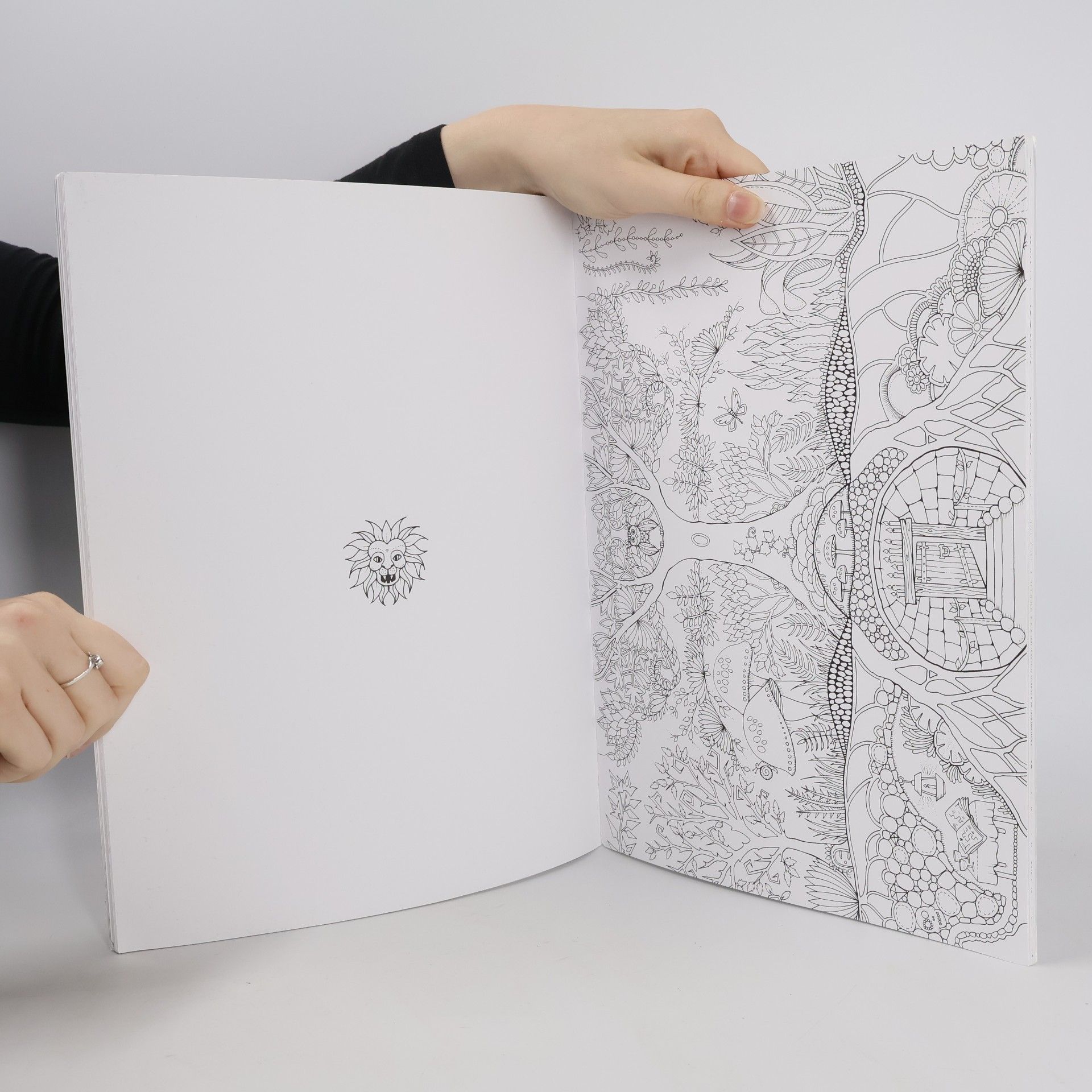 Johanna Basford Čarovný les - Art edice