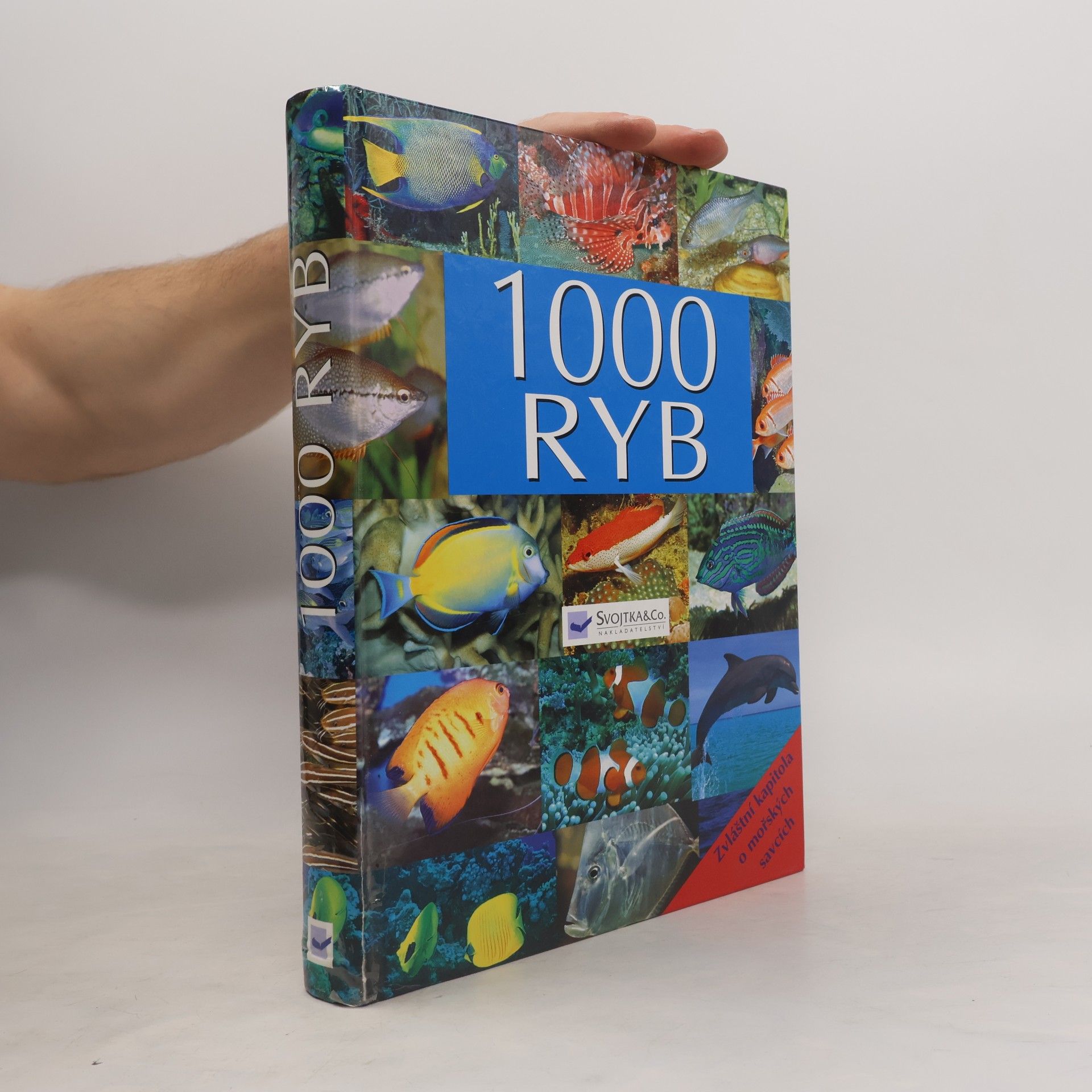 Autorenkollektiv 1000 ryb