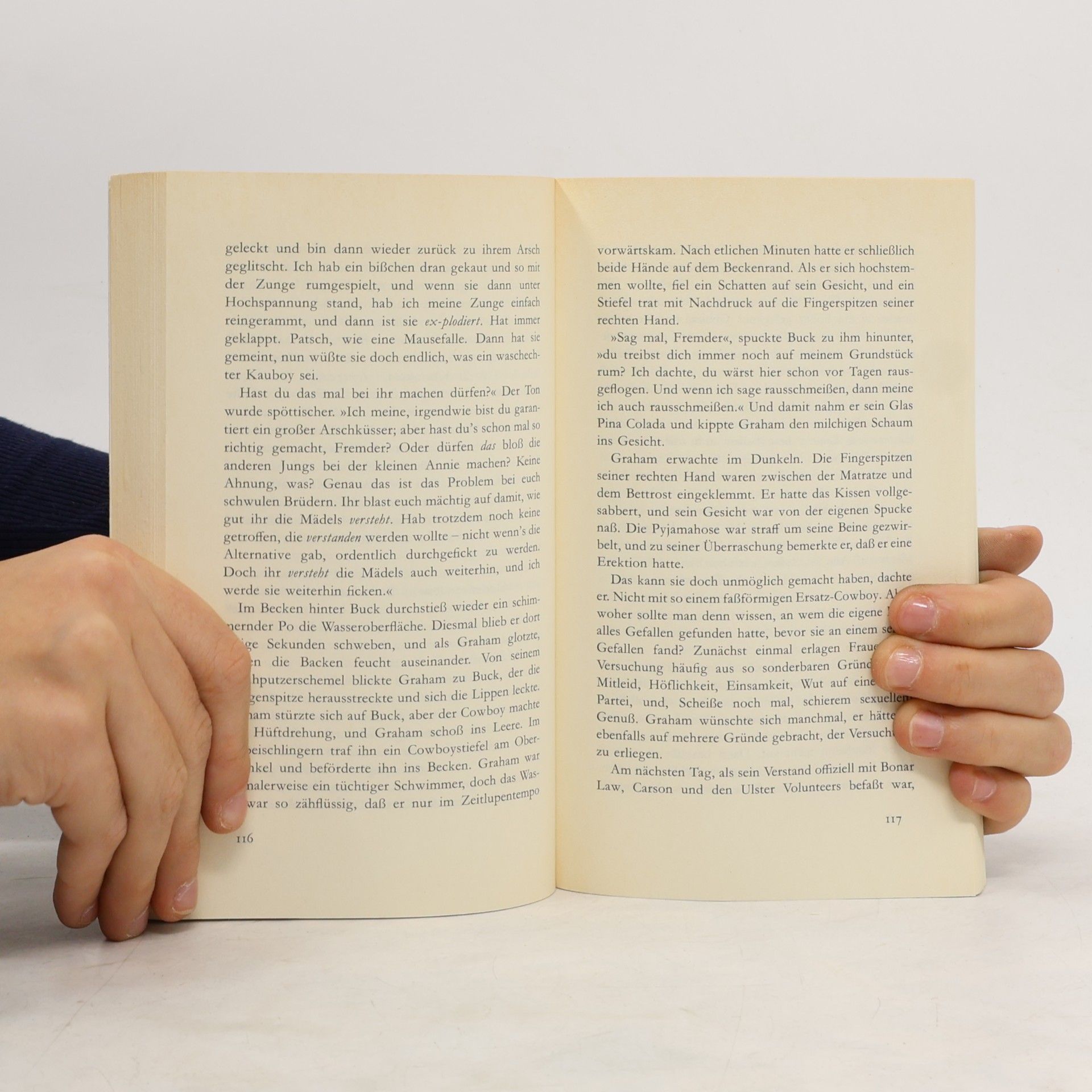 Julian Barnes Als sie mich noch nicht kannte. Roman einer Eifersucht
