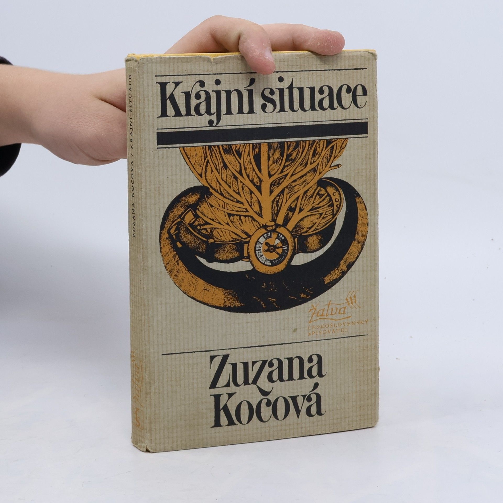 Krajní situace