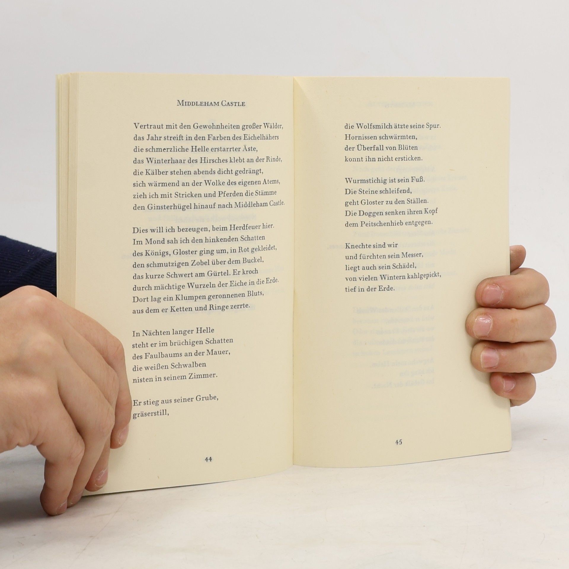 Peter Huchel Suhrkamp Taschenbuch: Gezählte Tage