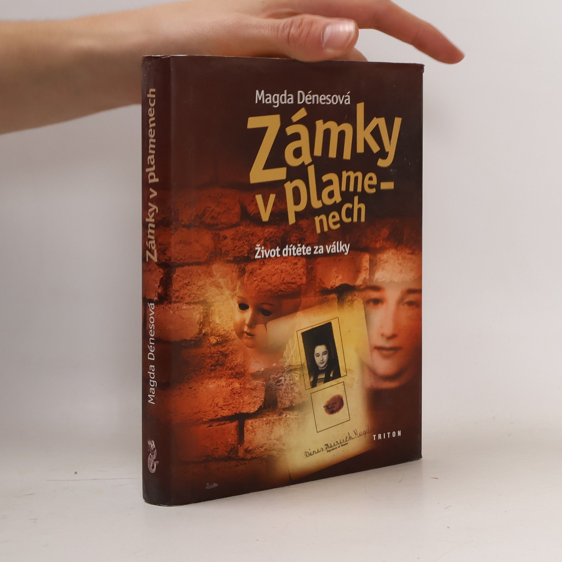 Magda Dénes Zámky v plamenech : život dítěte za války