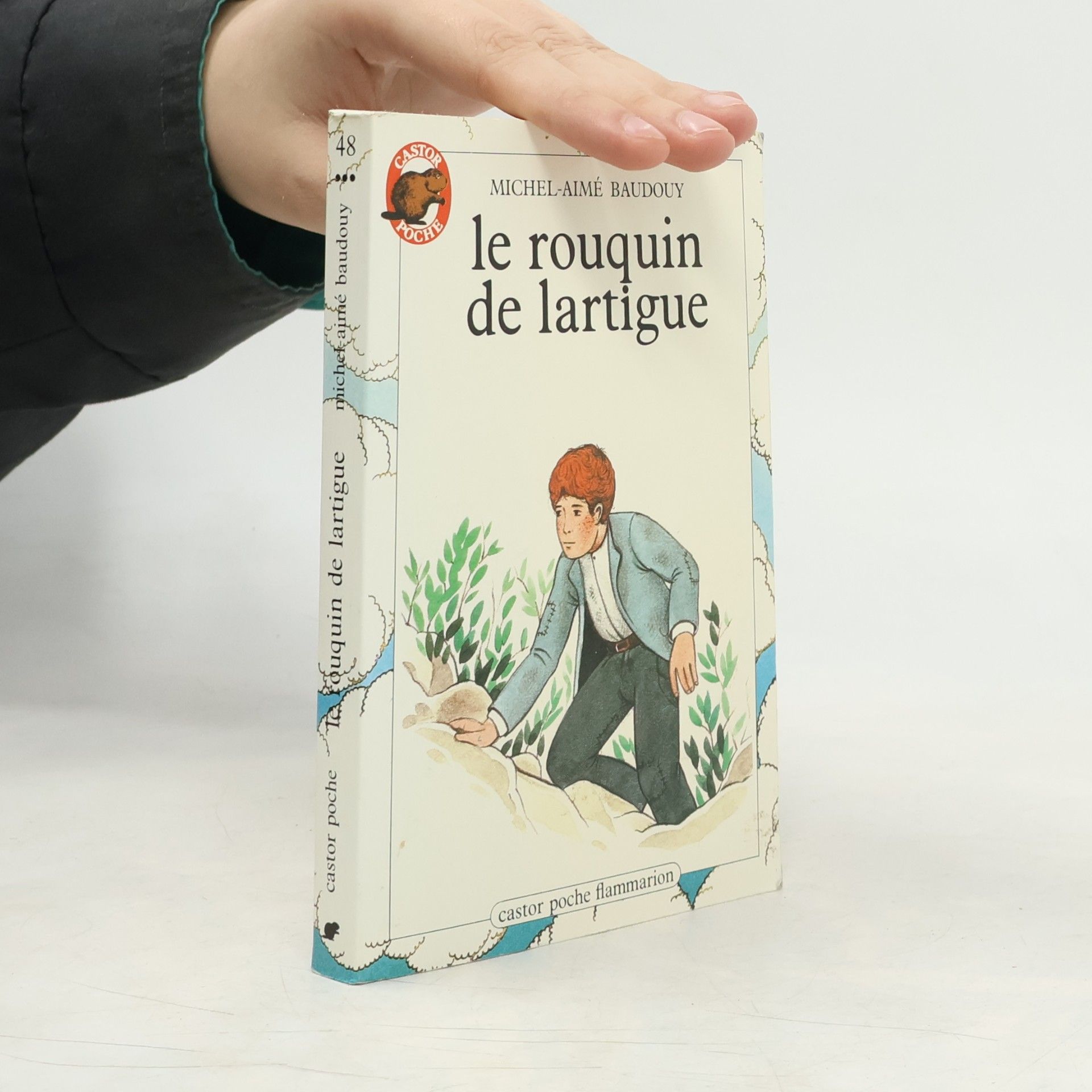 Castor Poche - 48: Le Rouquin de Lartigue