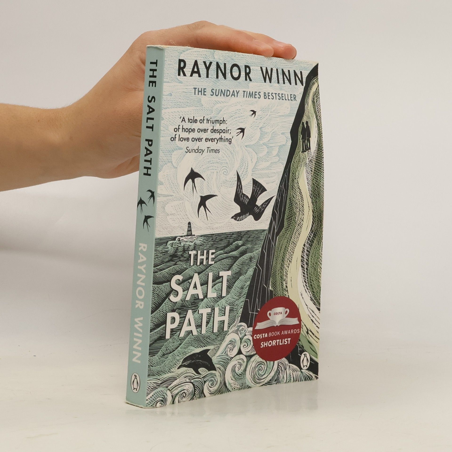 The salt path