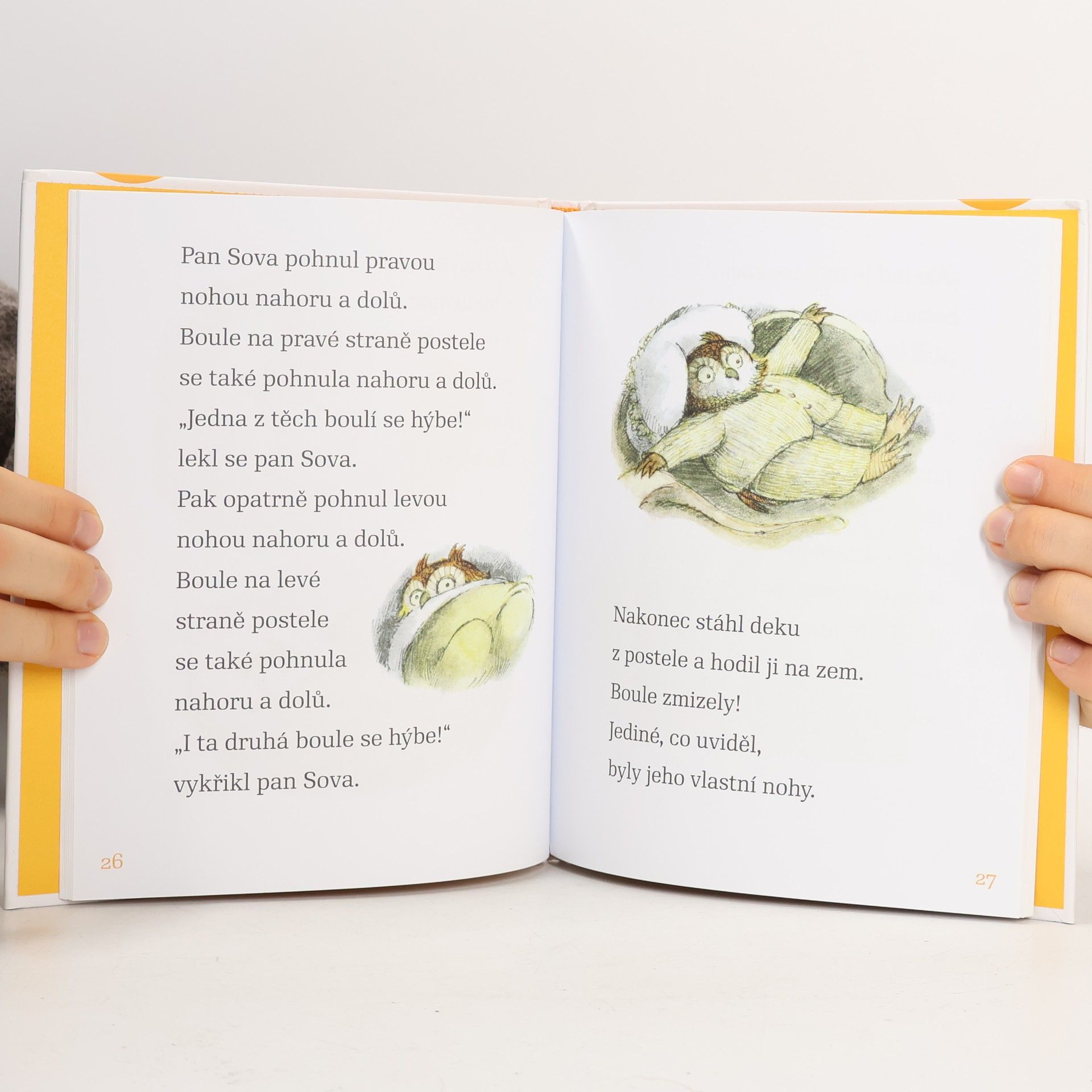 Arnold Lobel Pan Sova