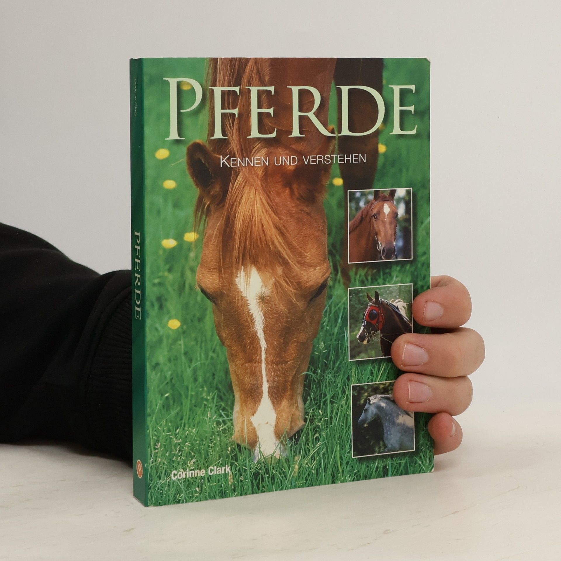 Pferde