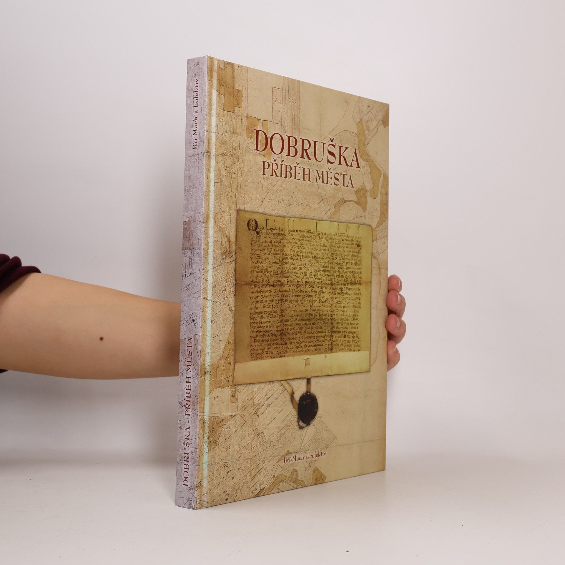 Dobruška - příběh města