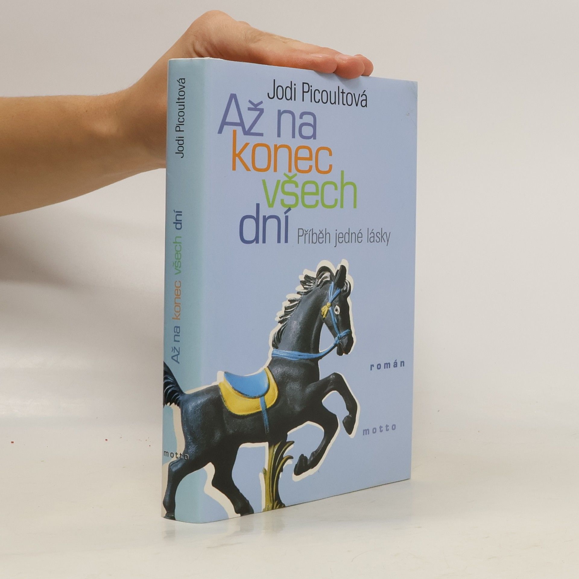Jodi Picoult Až na konec všech dní : příběh jedné lásky