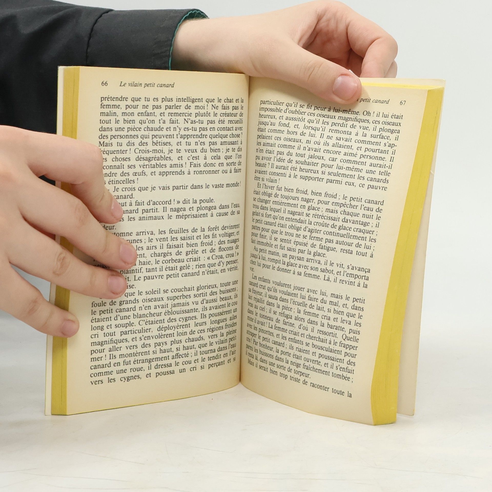 Hans Christian Andersen Contes