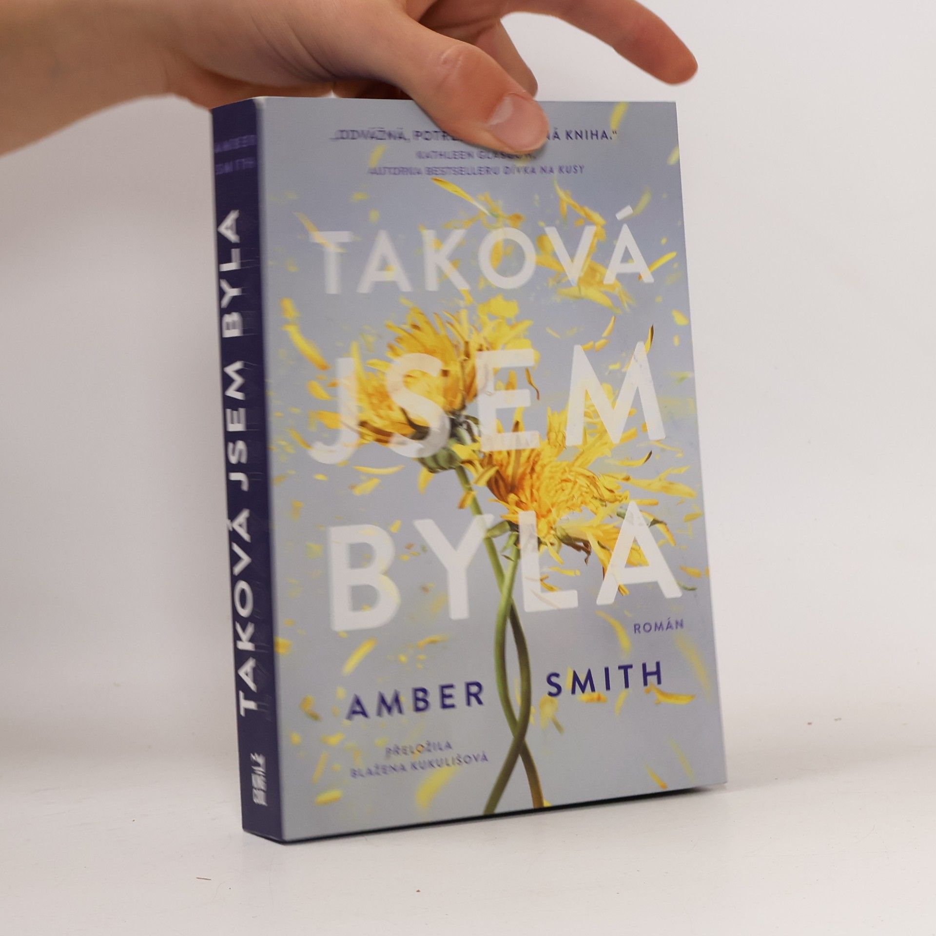 Amber Smith Taková jsem byla
