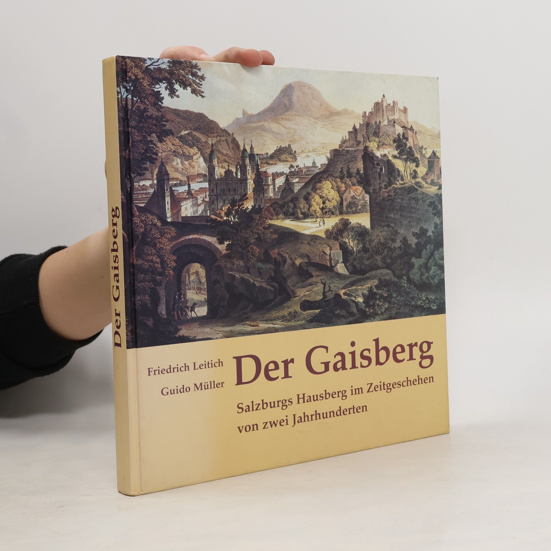 Der Gaisberg