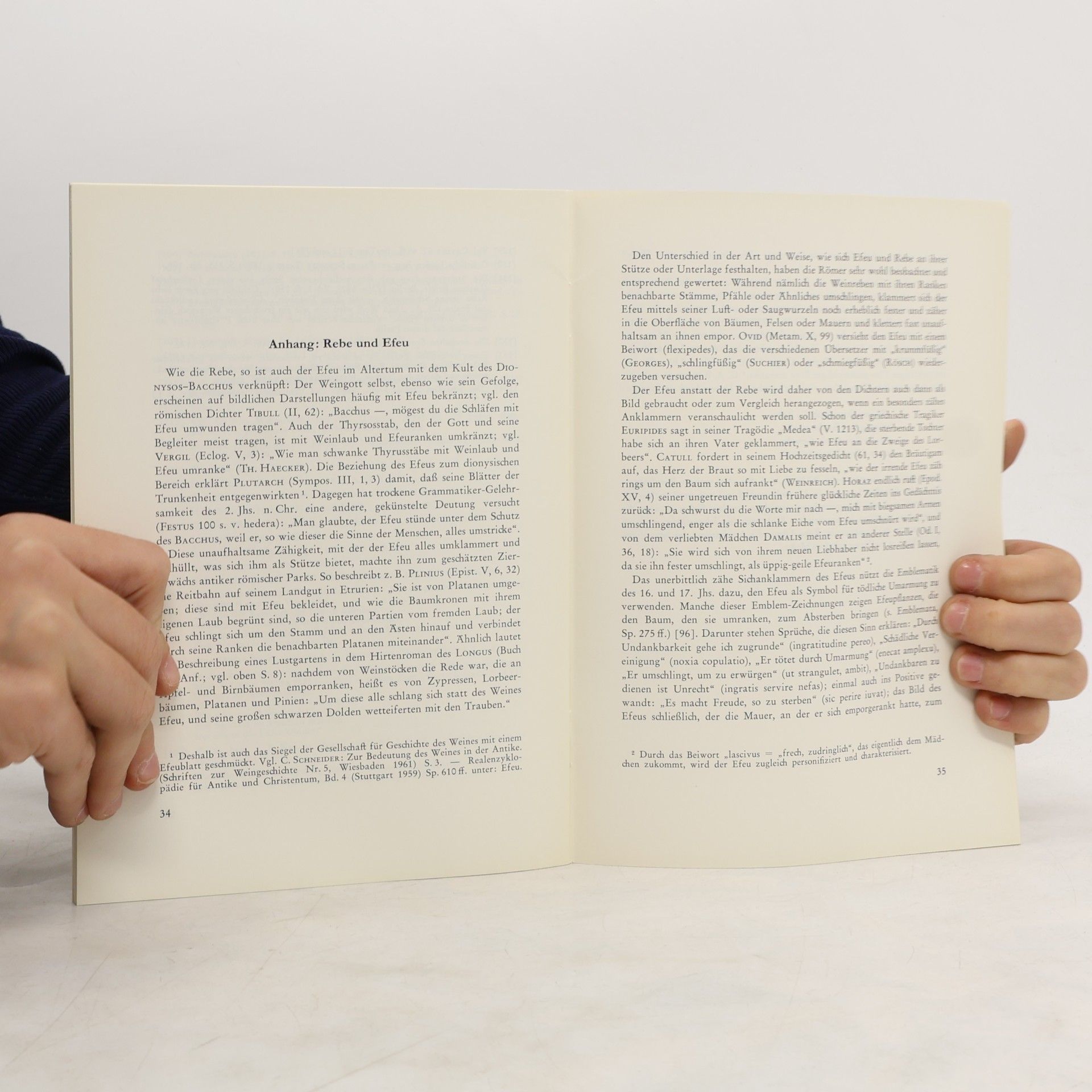 Gerd Hagenow Rebe und Ulme. Geschichte eines literarischen Bildes