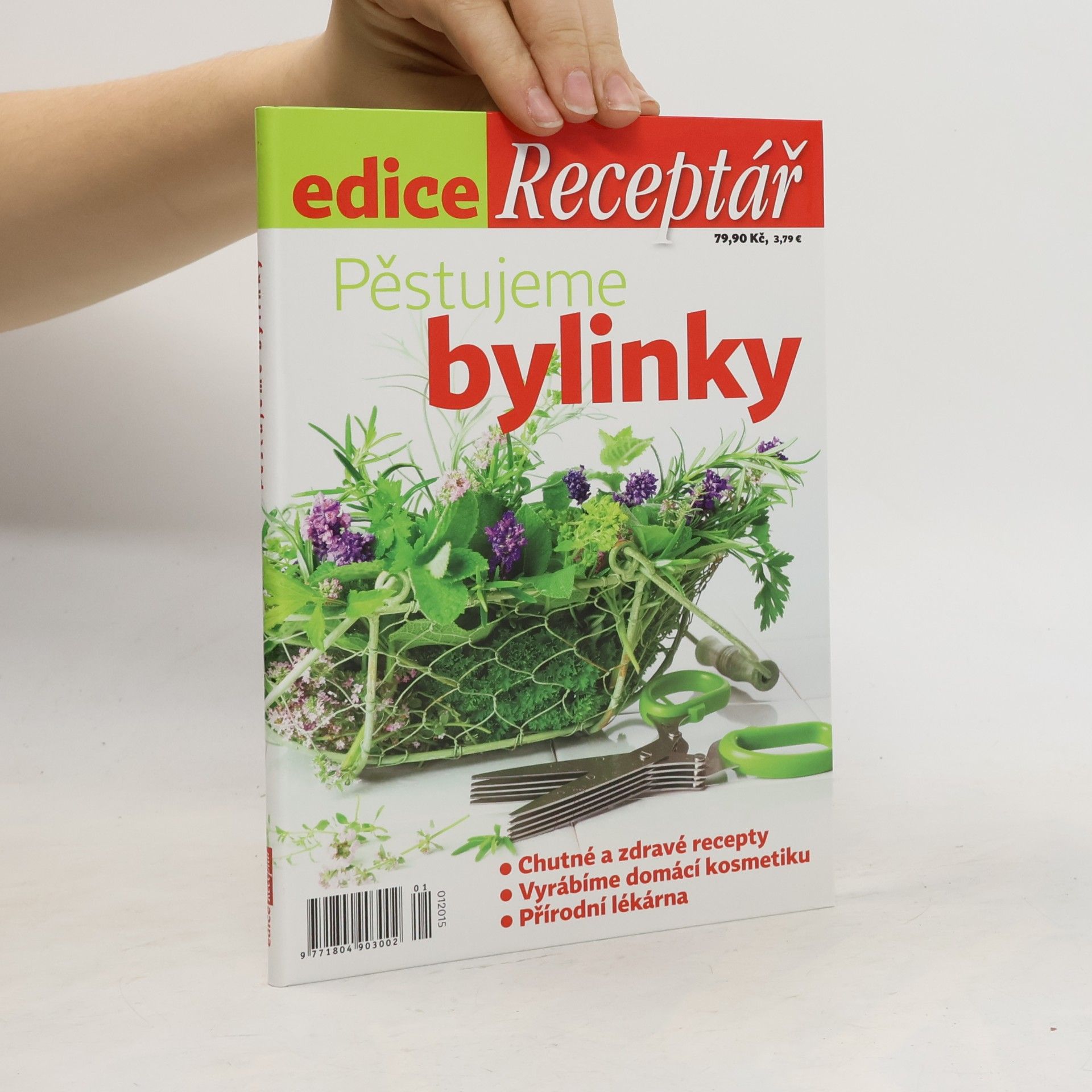 Pěstujeme bylinky