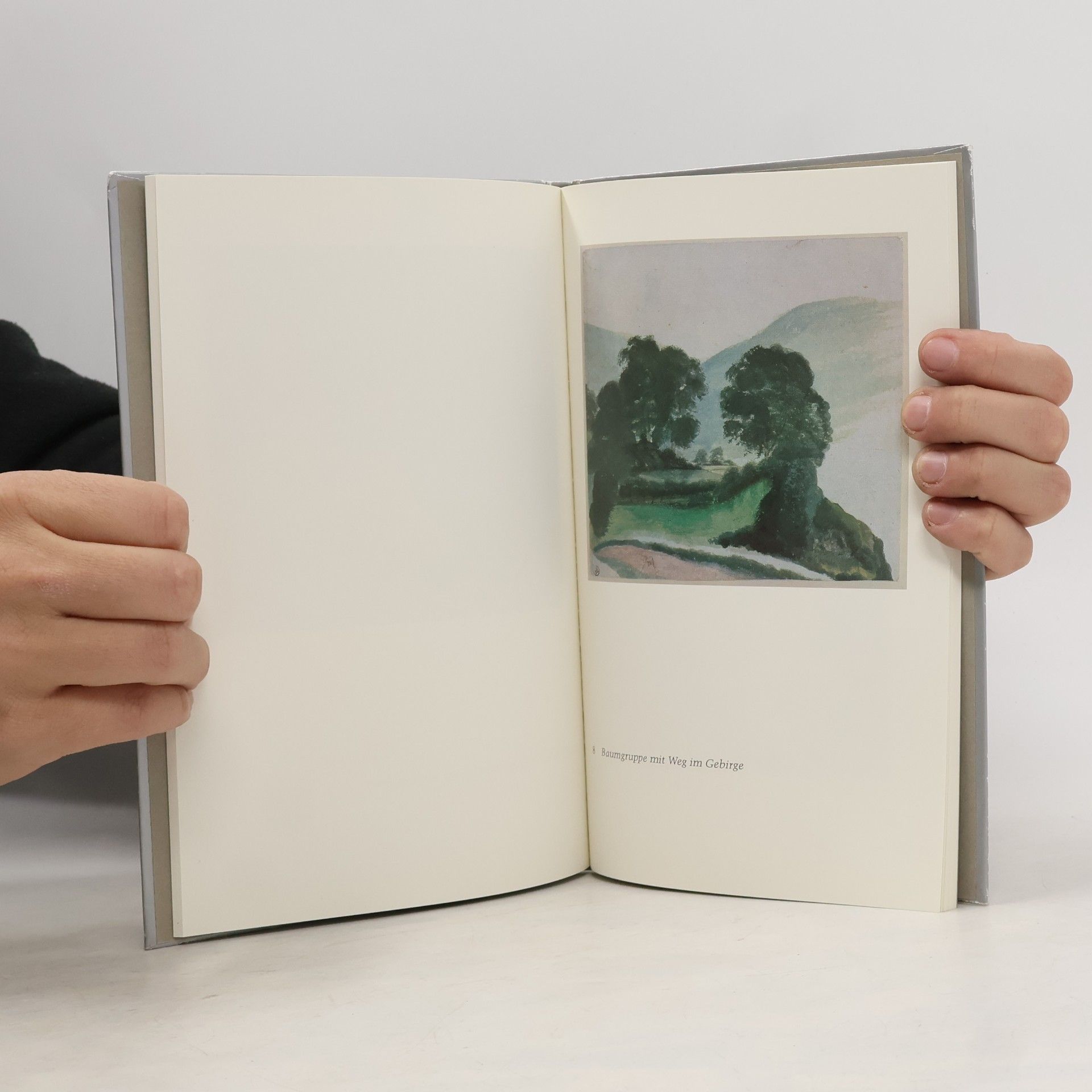 Wilhelm Rüdiger Albrecht Dürer, Italienische Reise, Aquarelle