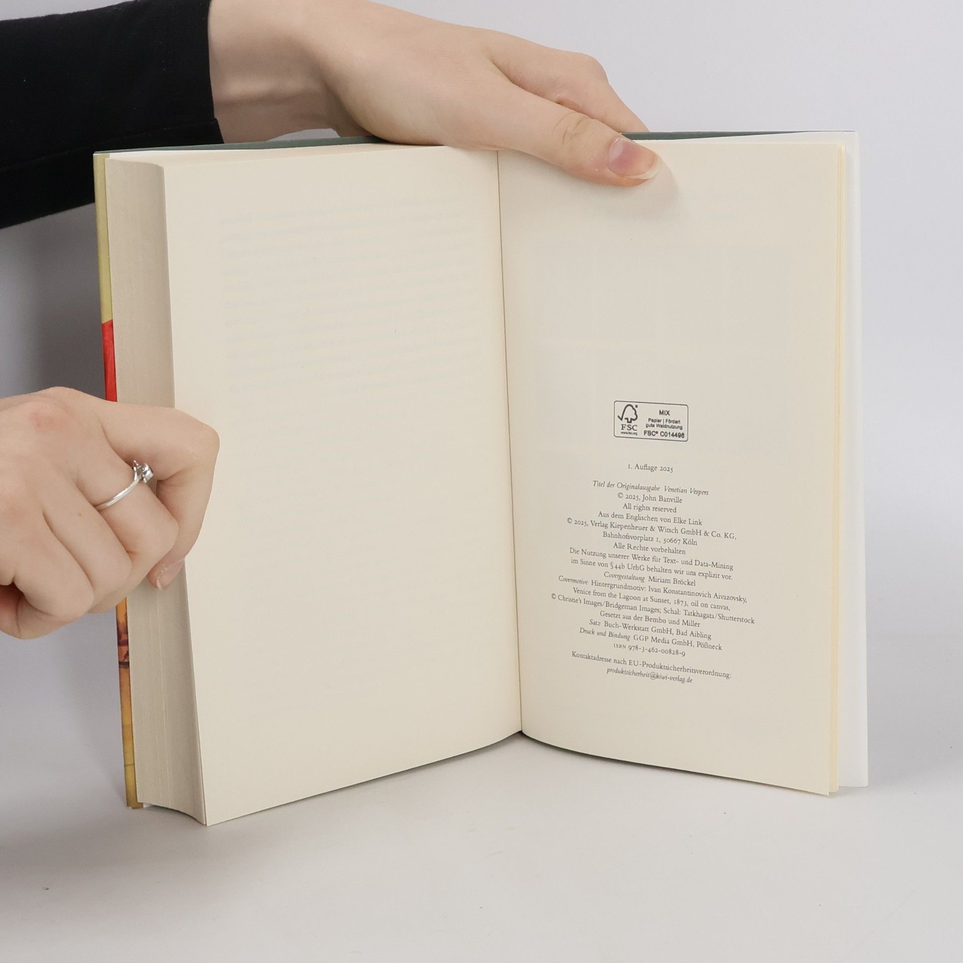 John Banville Schatten der Gondeln