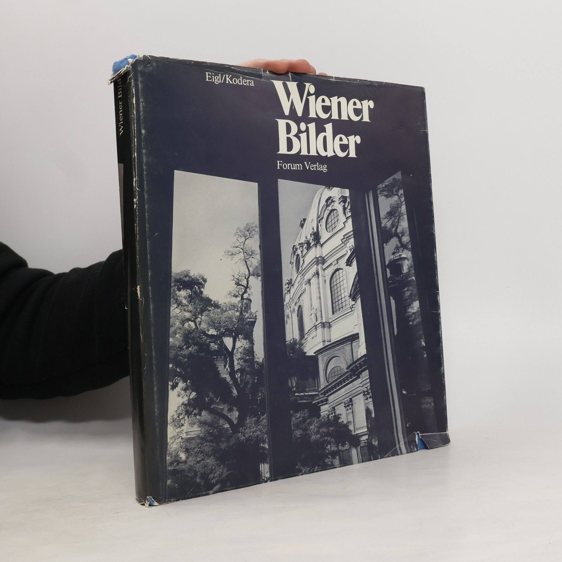 Various authors Wiener Bilder