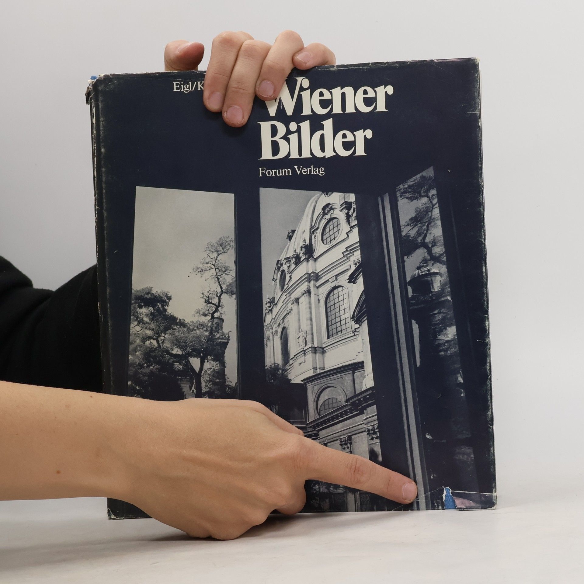 Various authors Wiener Bilder