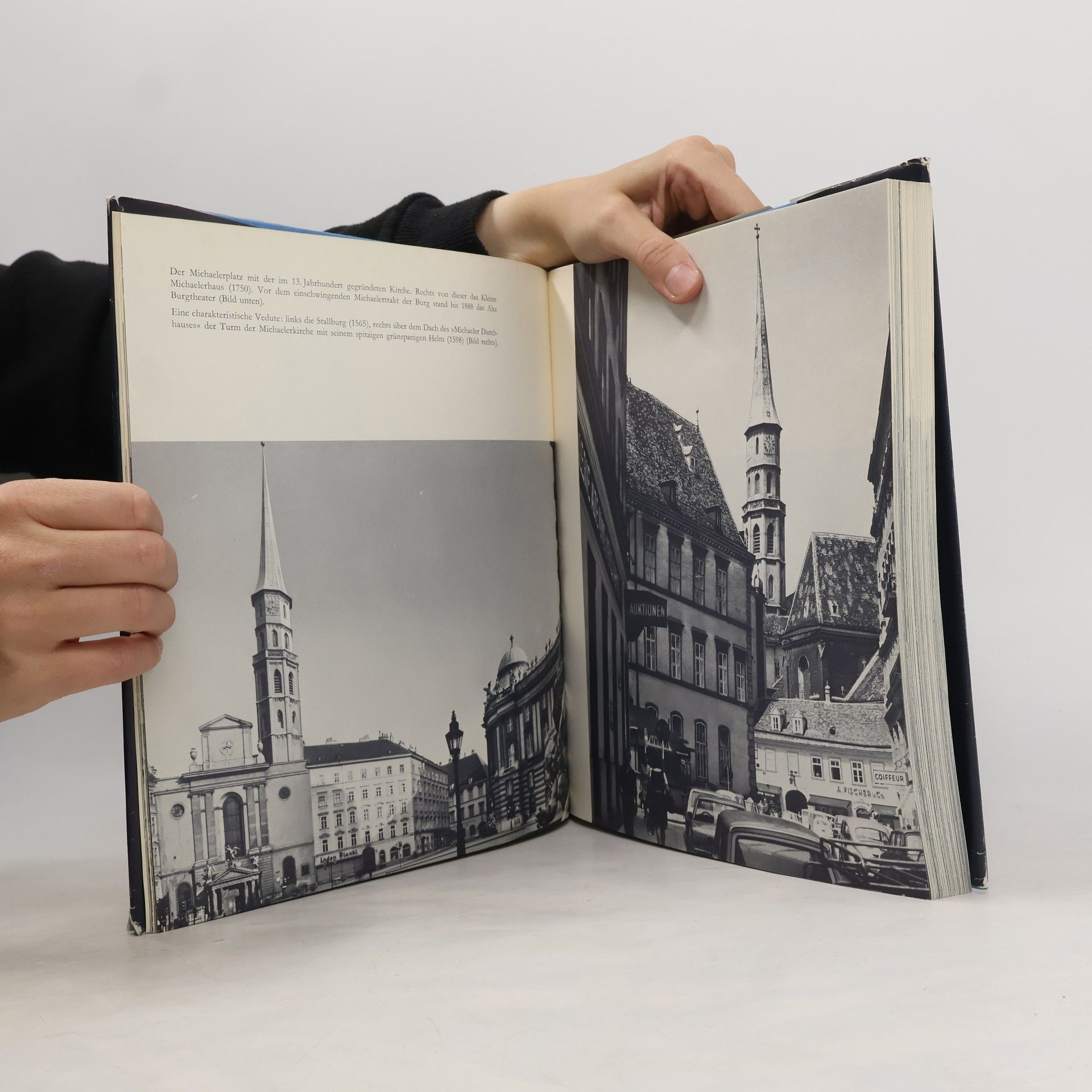 Various authors Wiener Bilder