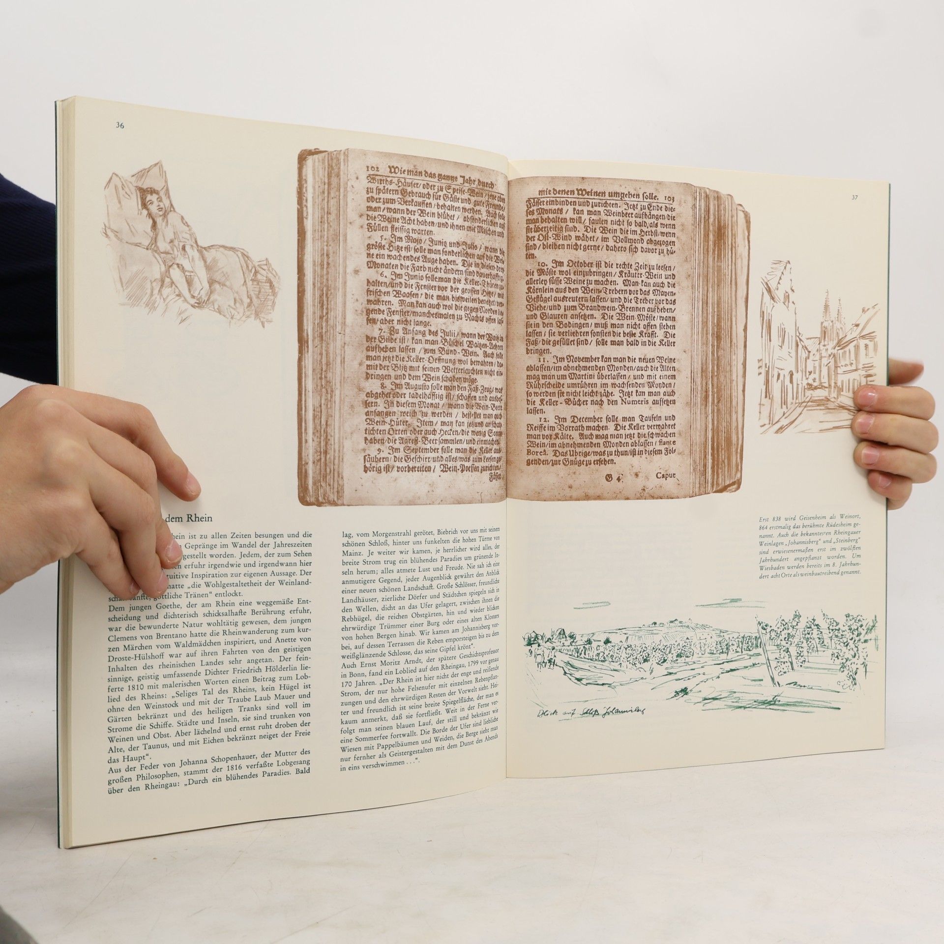 Willy Schmitt-Lieb Das Buch im Buch